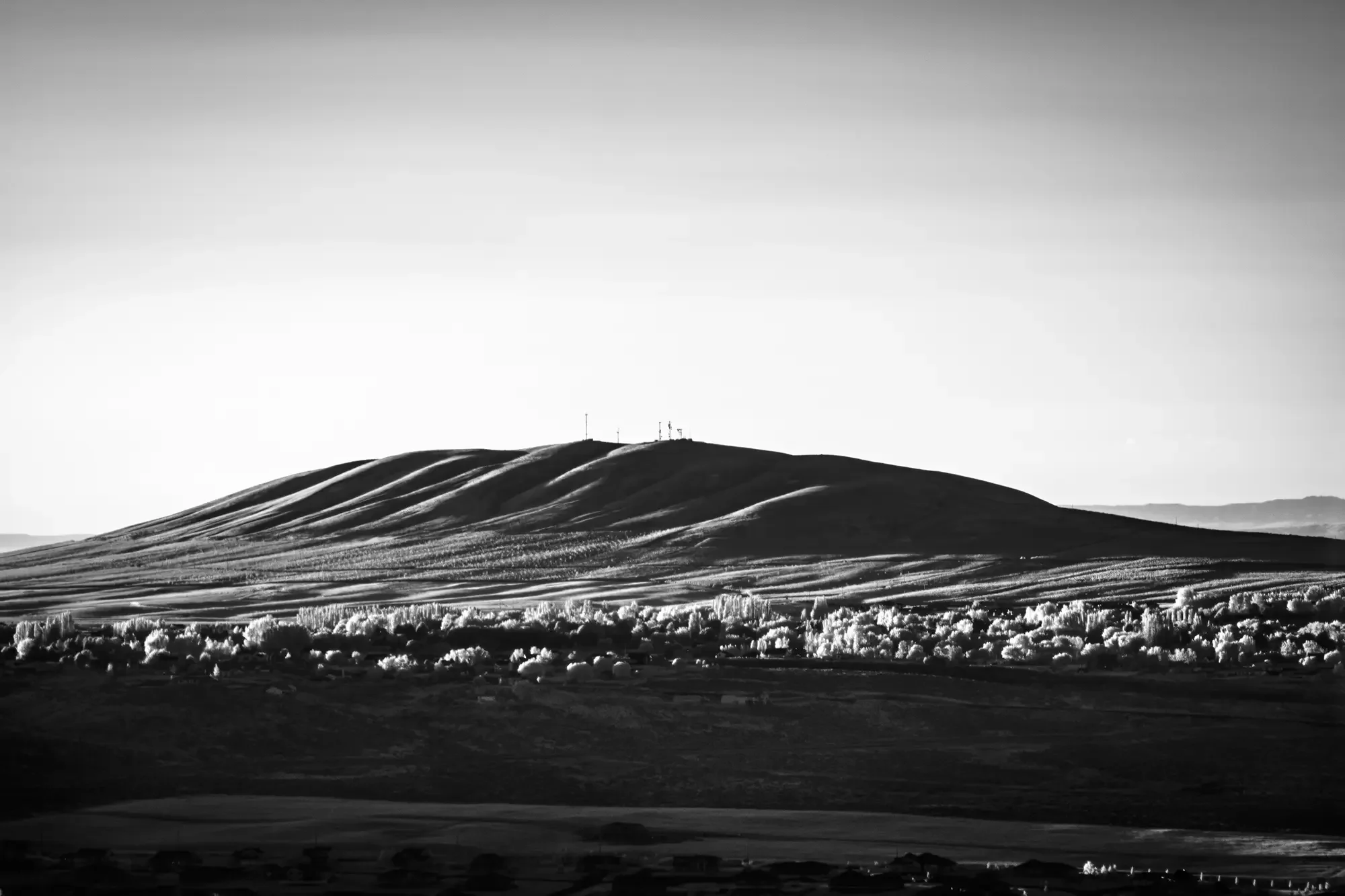 Badger_Mountain_Kennewick.webp