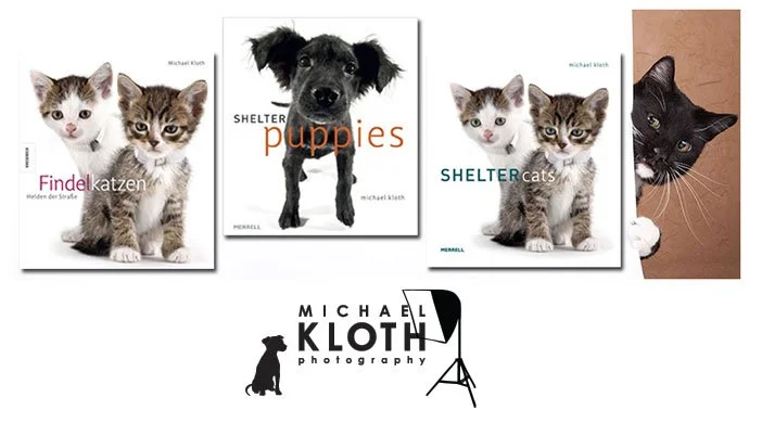 A collection of animal photography books on animal photography: Shelter Cats, Shelter Puppies, and Findelkatzen, by Michael Kloth with a black and white cat peeking from the side.
