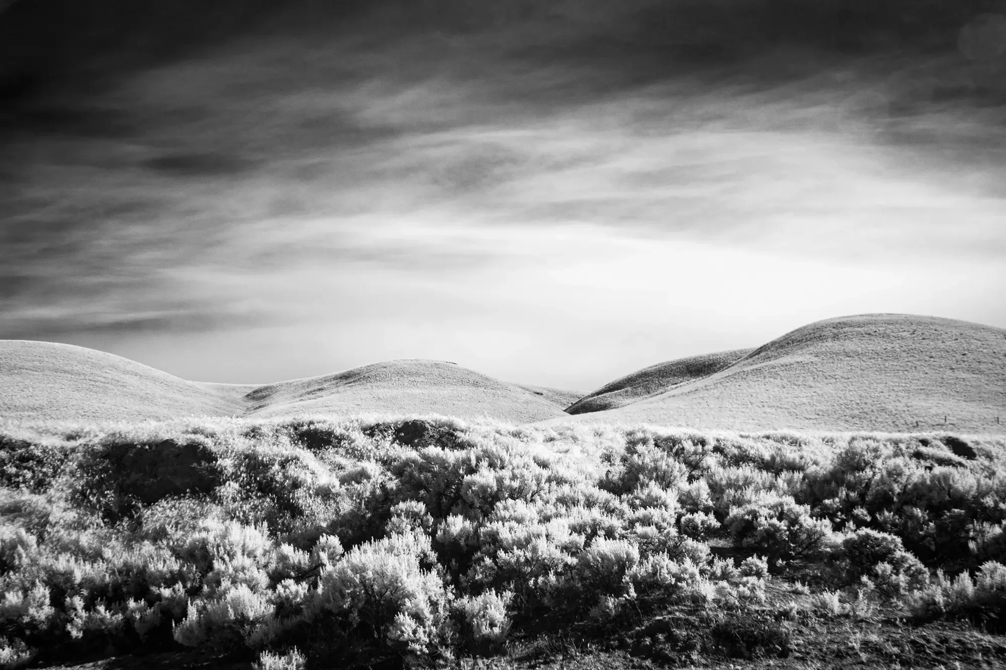 Sagebrush_Hills.webp