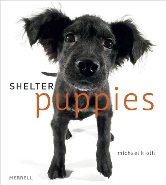 Shelter Puppies book cover, photography by Michael Kloth