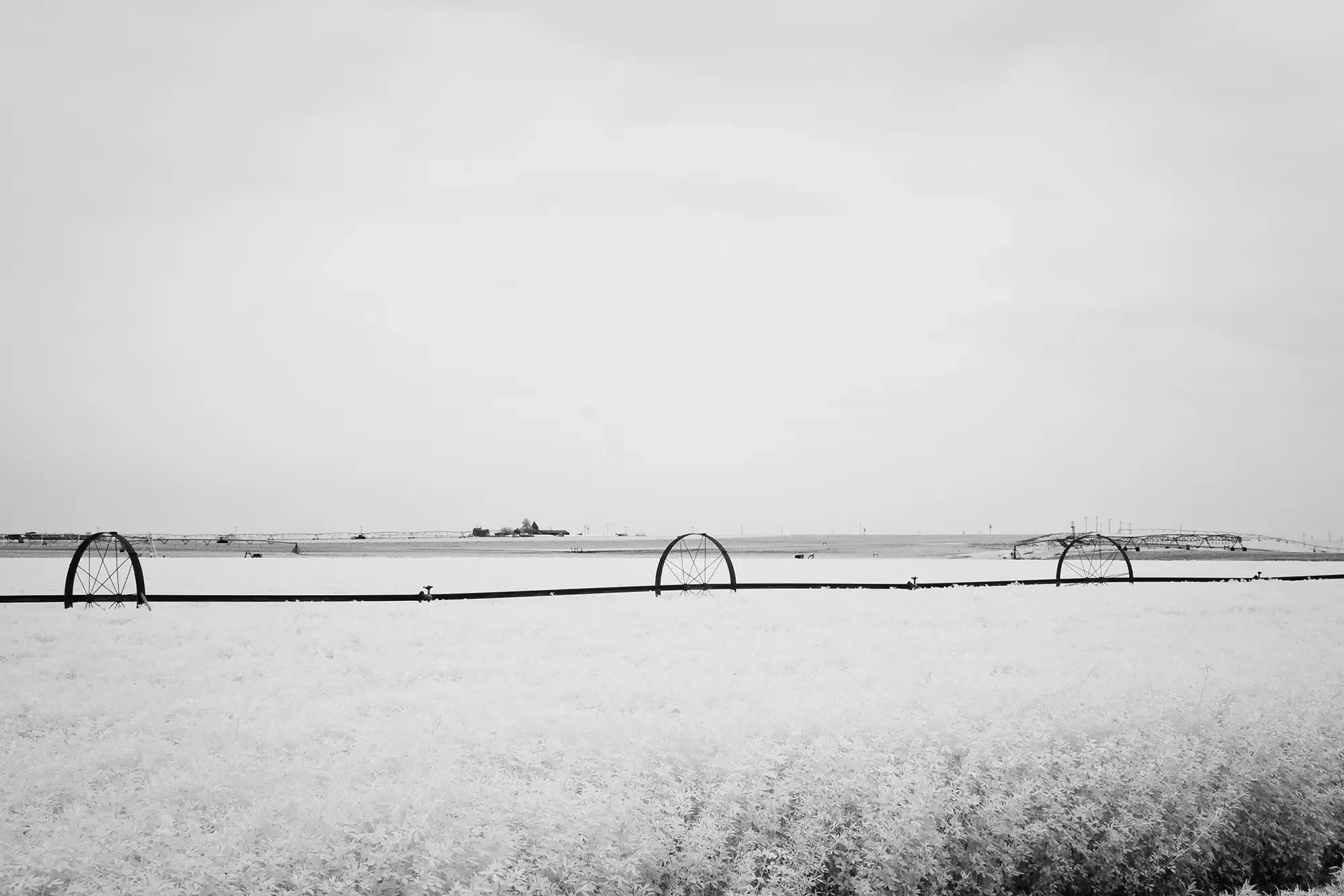 Center_Pivot_Arches_Columbia_Basin.webp