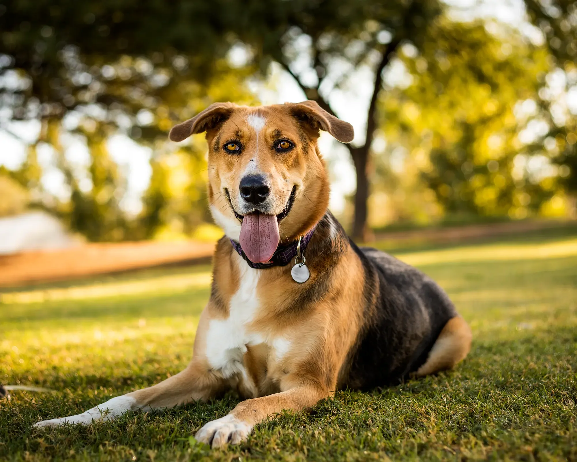 PACC alum and model for public art