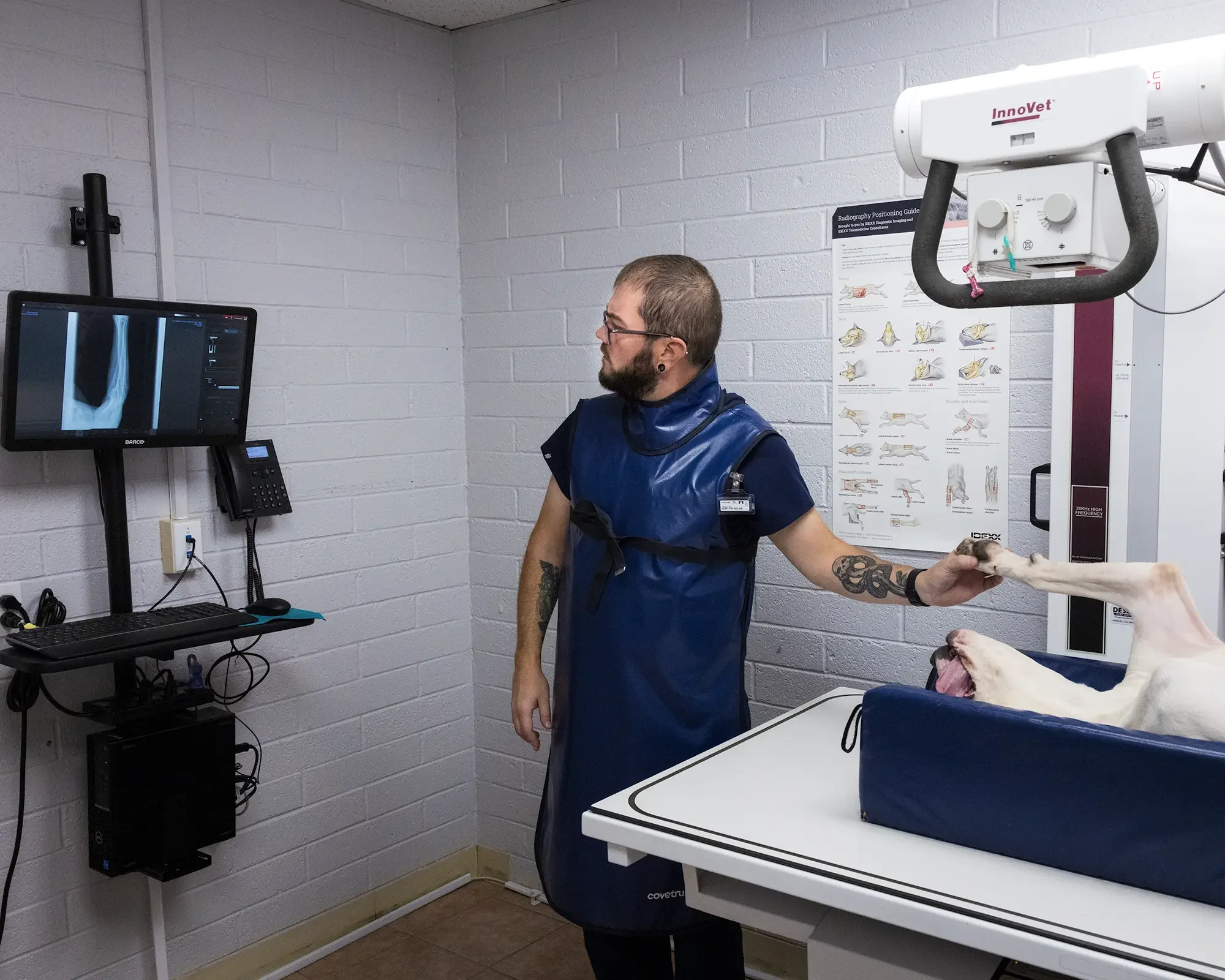 Vet tech reads a radiograph before repositioning the dog for the next exposure.
