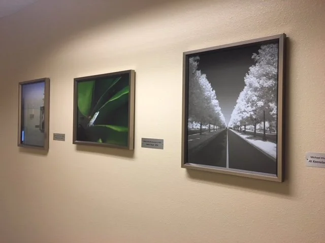 TMC Foundation Healing Art Program Display