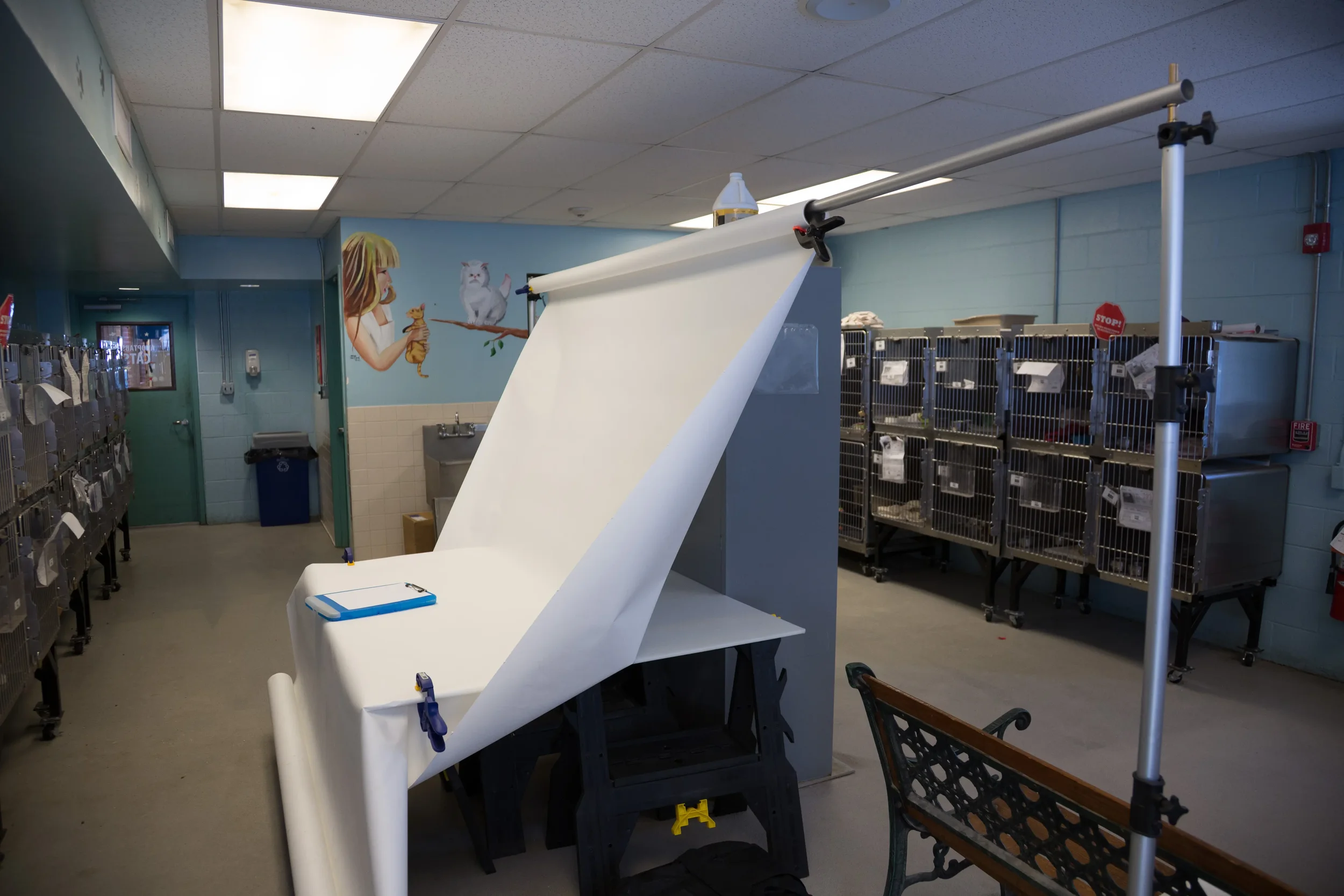 My set up in the old cat room at PACC.