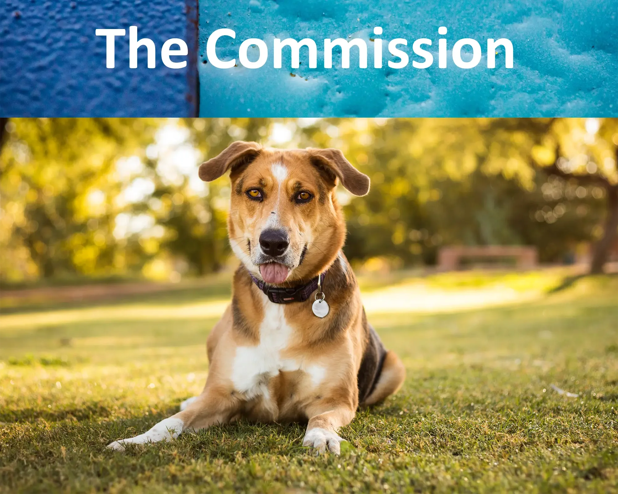 The Commission — $275