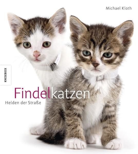 Findelkatzen: Helden der Straße, German-language edition of Shelter Cats by Michael Kloth