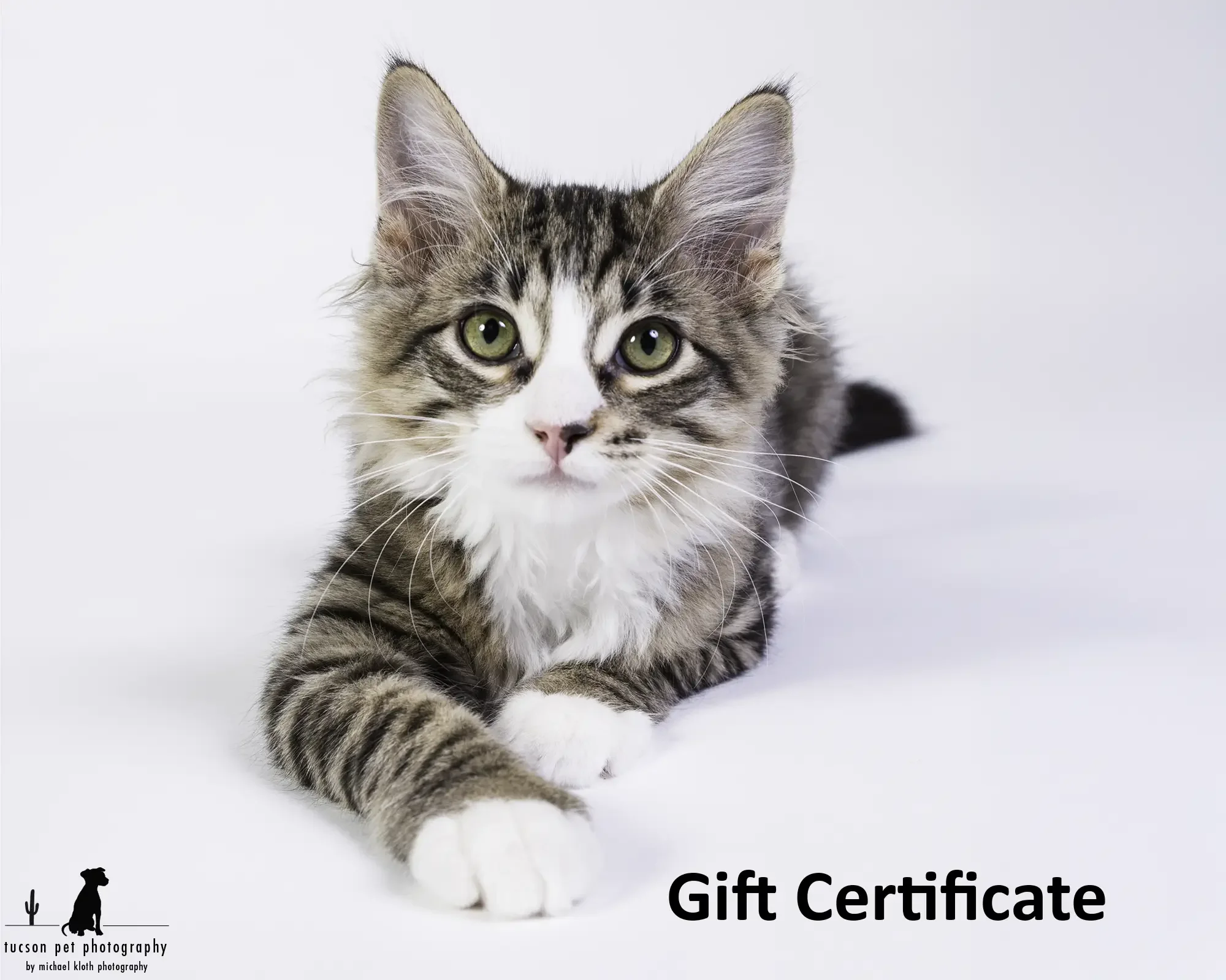 Tucson-Pet_Photography-Gift_Certificate_cat.webp
