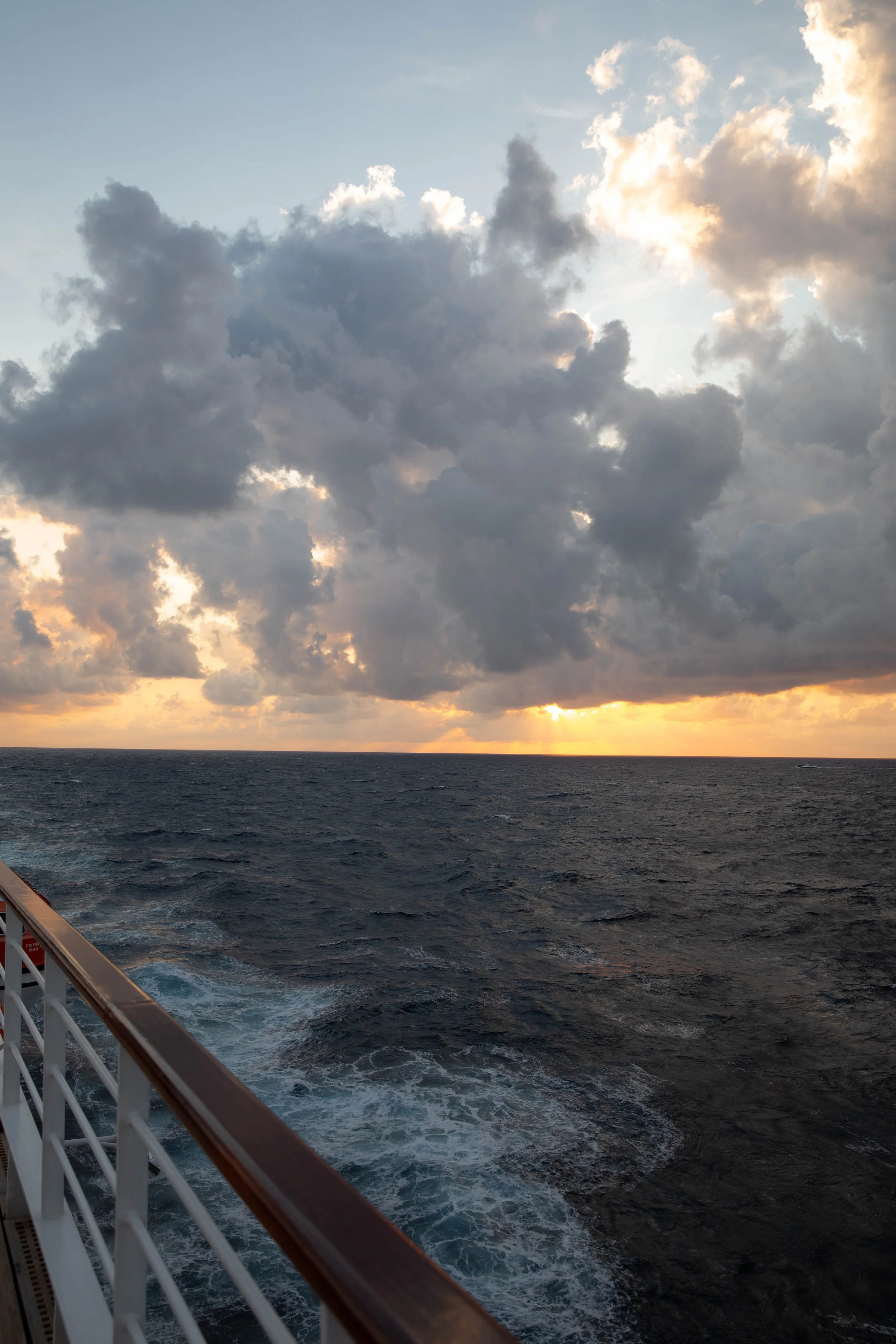 windstar-stayfoxx-collab-0804.jpg