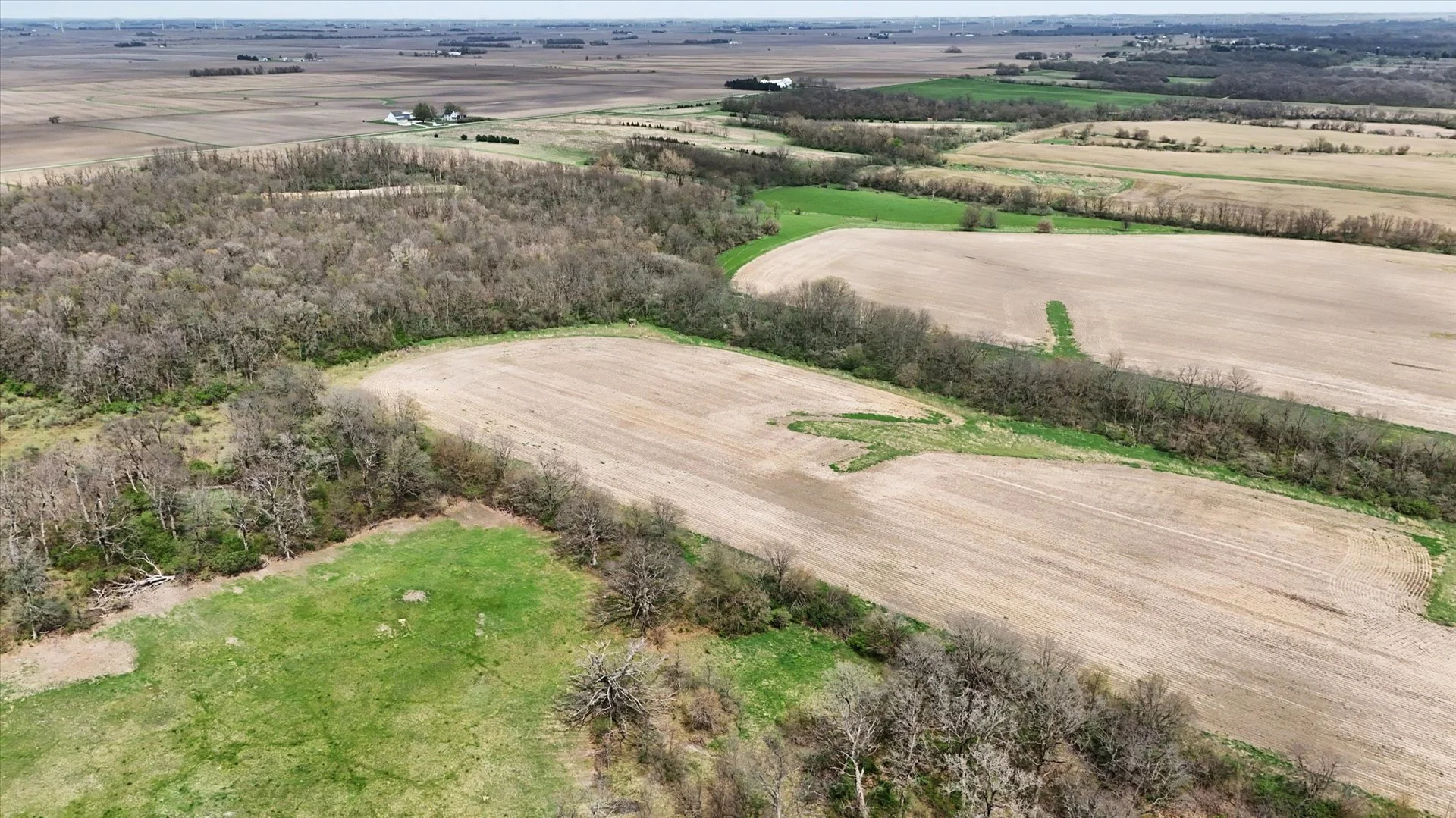 27-LeRoy_79_acres-22.jpg