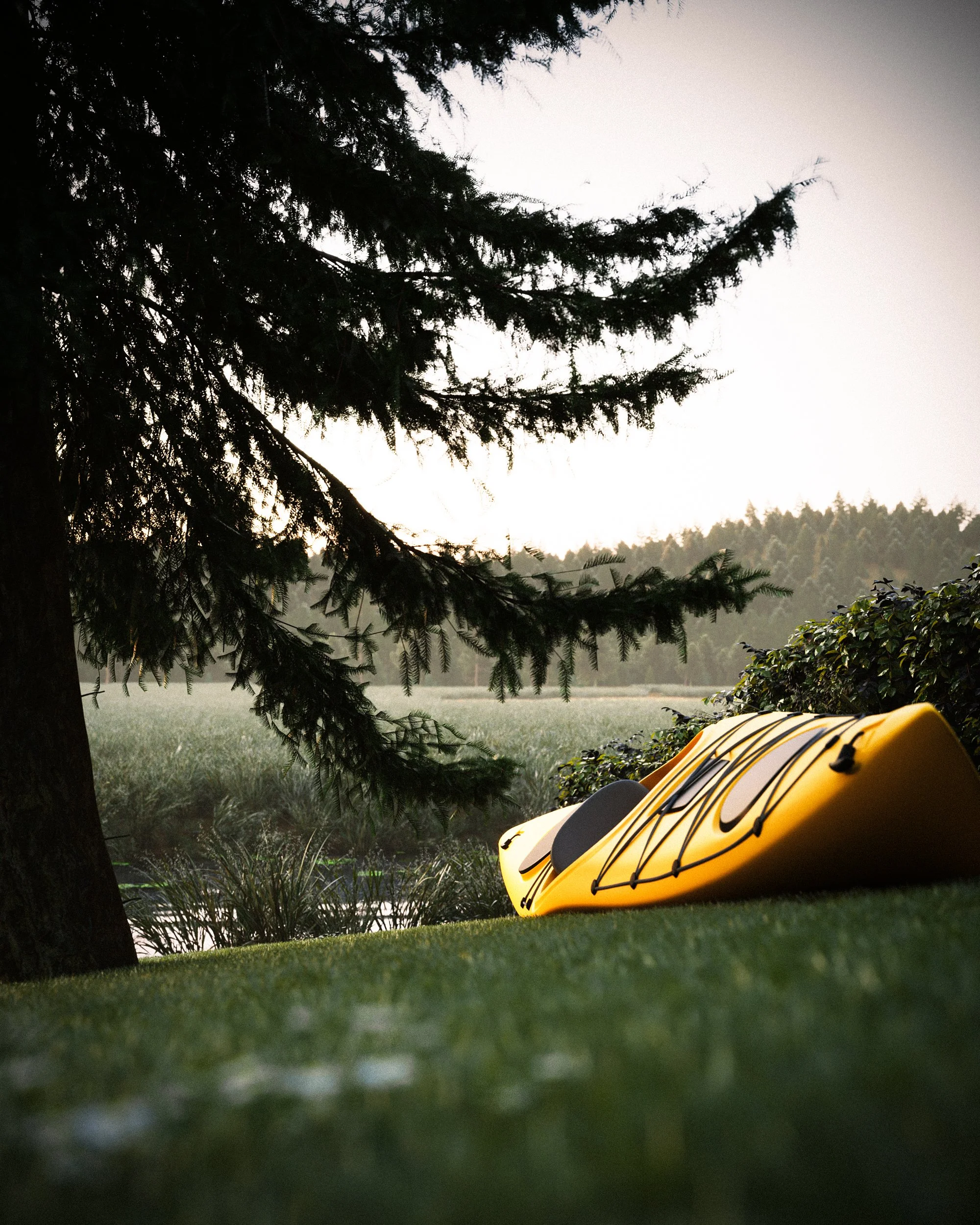 cam 03_kayak_.jpg