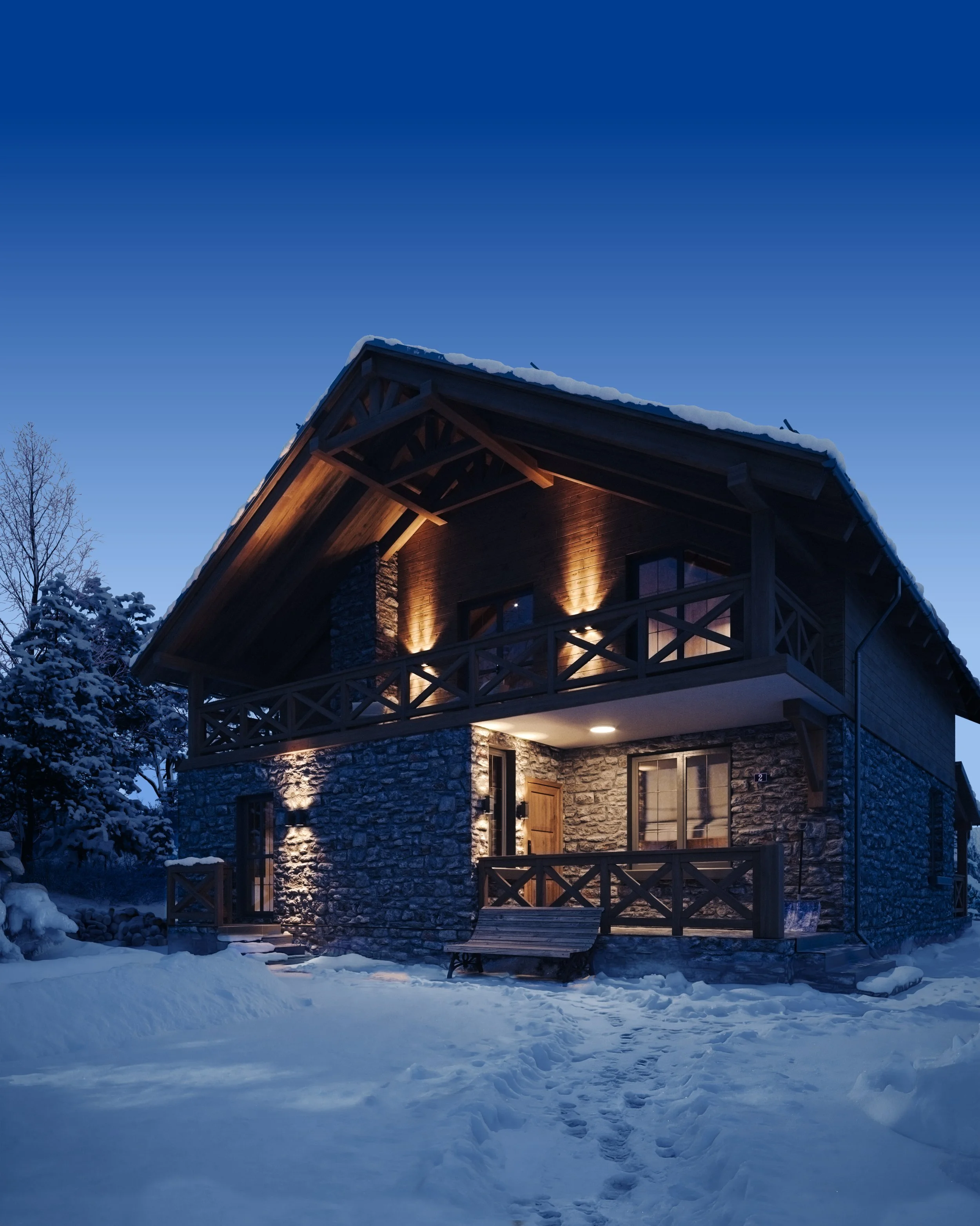 Camera 004_Entrance snowsteps_.jpg