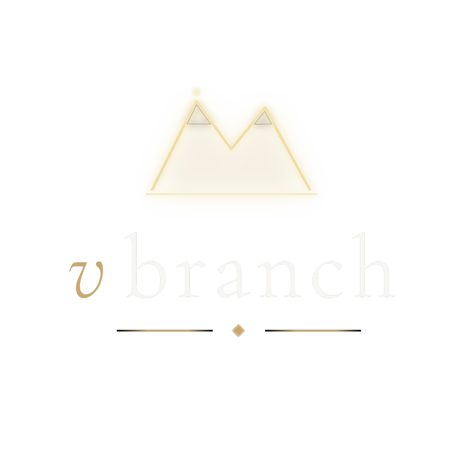 V-Branch Studio
