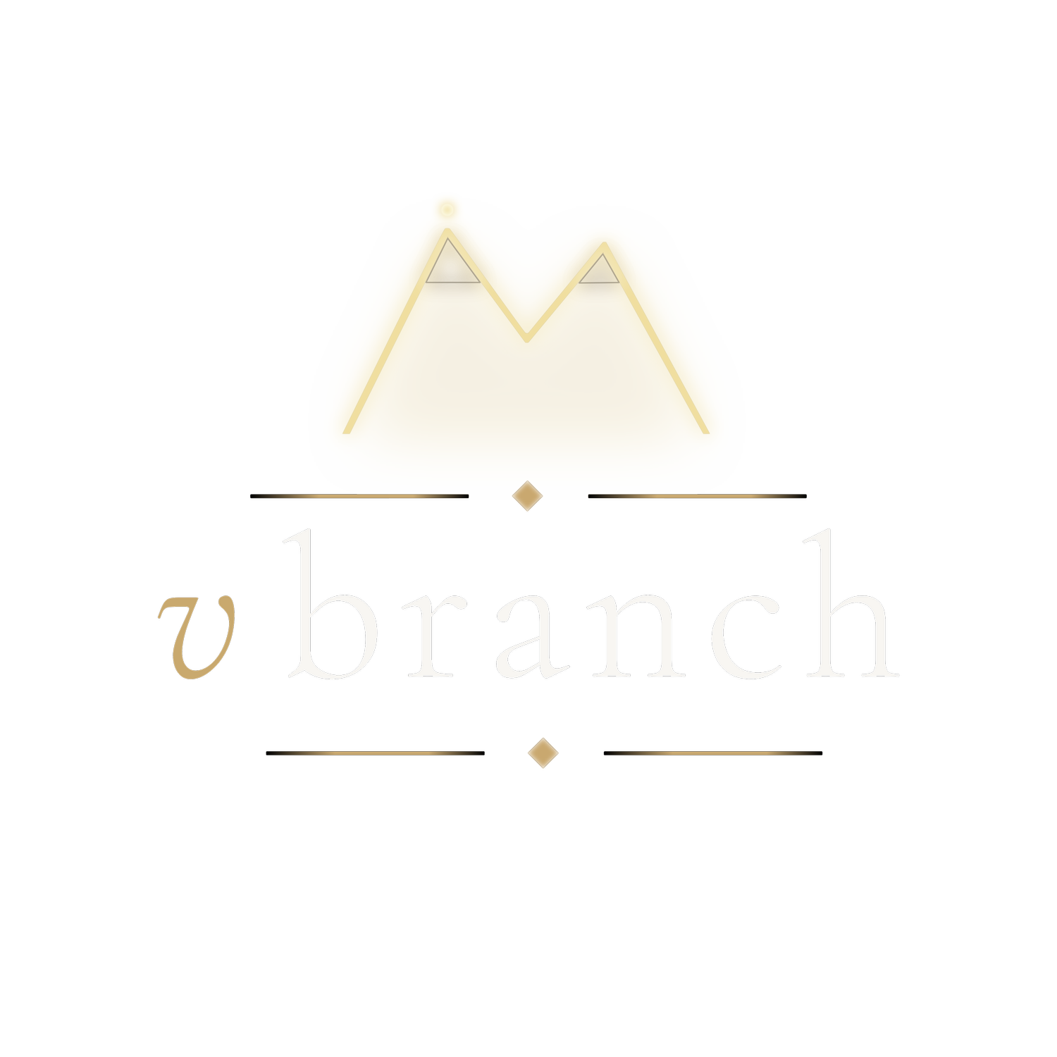 V-Branch Studio