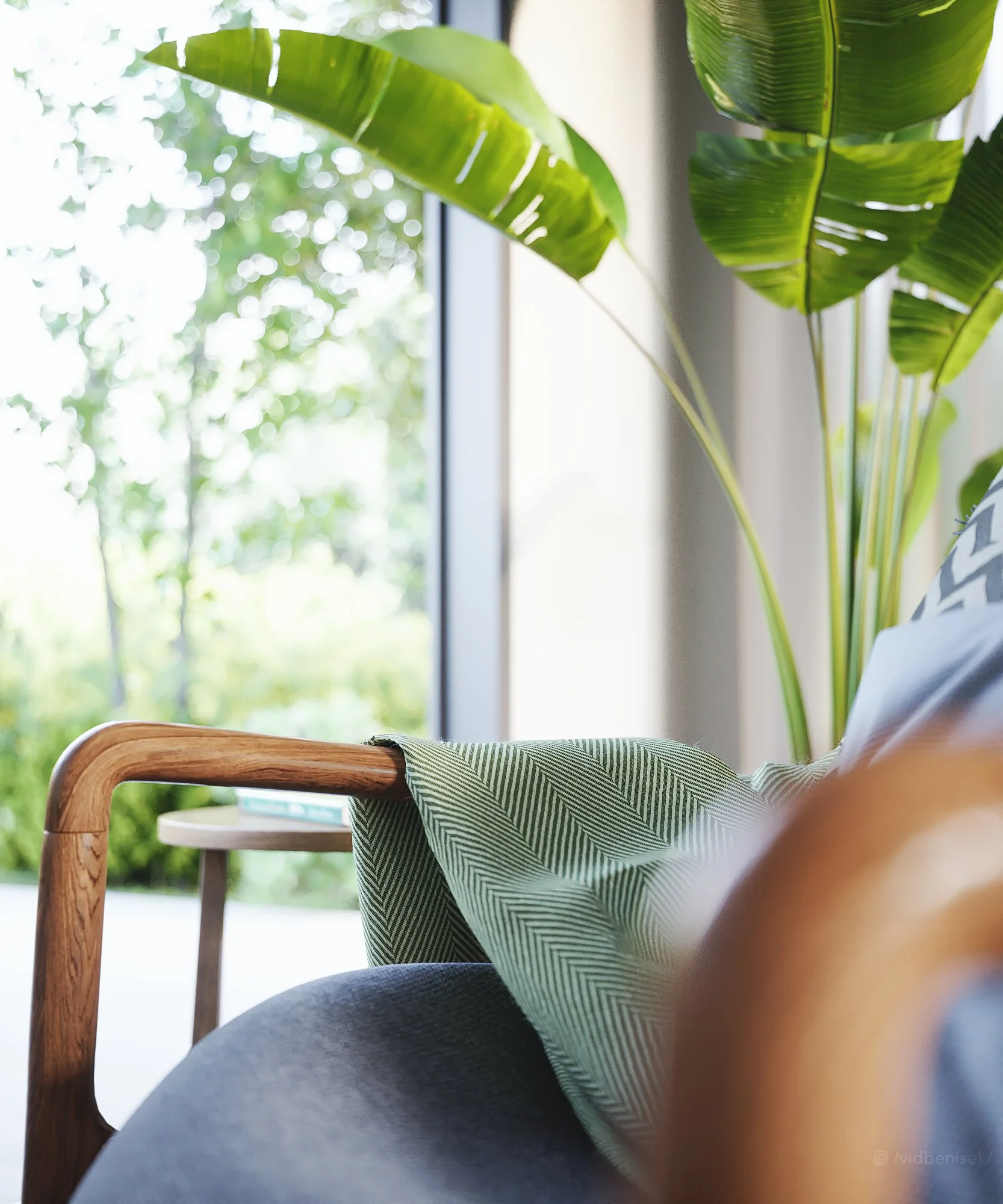 Indoor scene showing a chair with a green patterned cloth, a large leafy plant, and a window with a view of greenery outside.