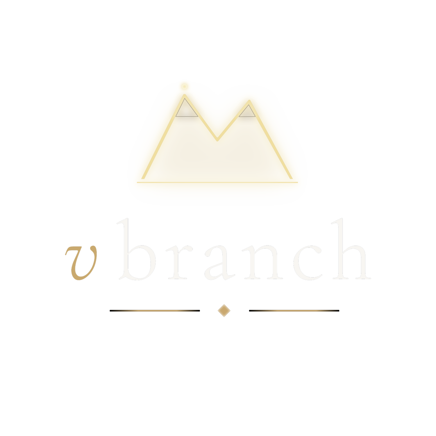 V-Branch Studio