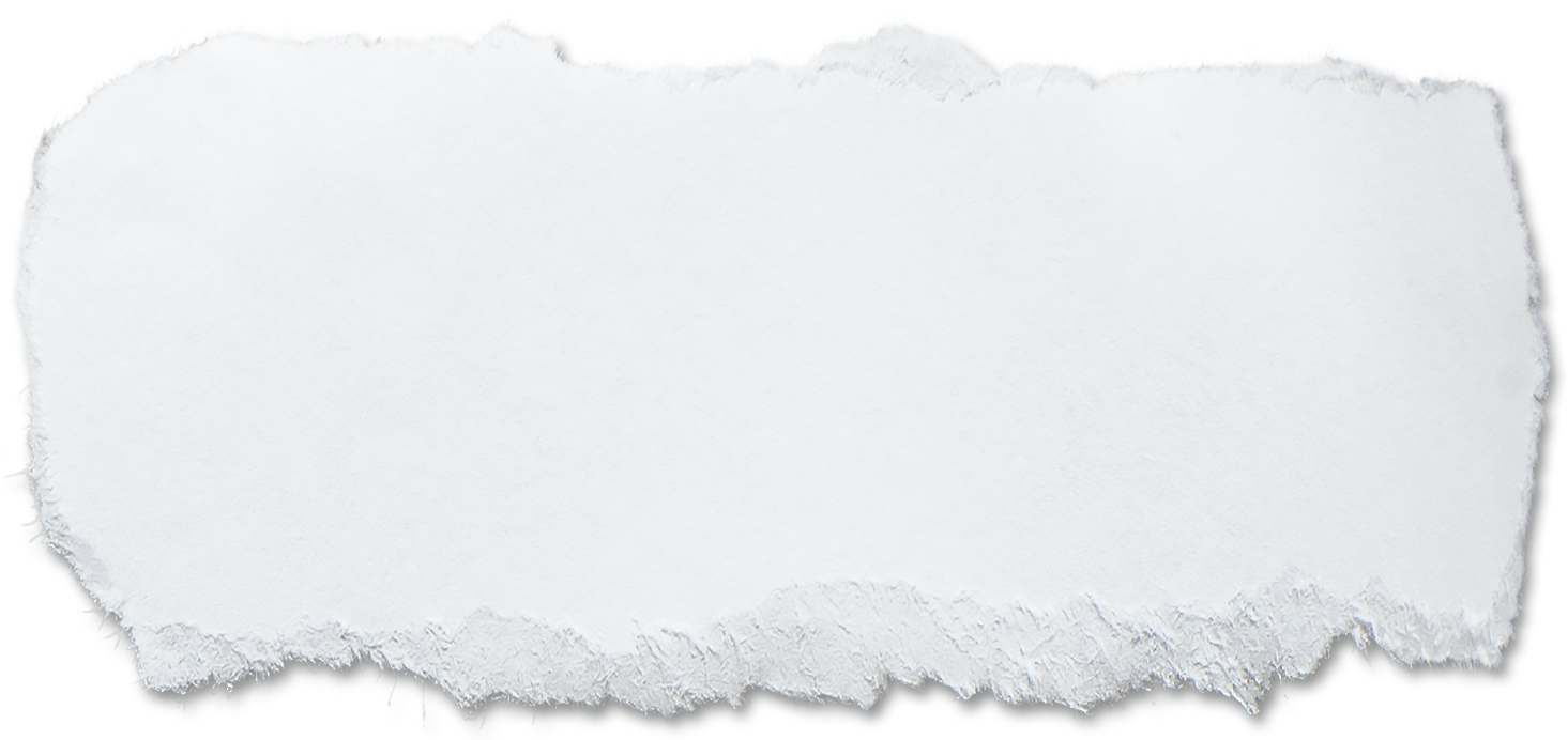 A blank, torn piece of white paper with rough edges.