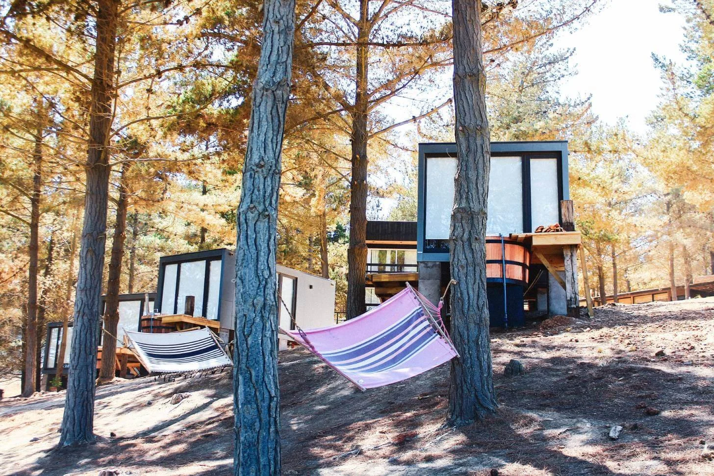 Cabañas de madera en un bosque de pinos, con hamacas colgadas entre los árboles y un suelo cubierto de tierra y conos de pino.