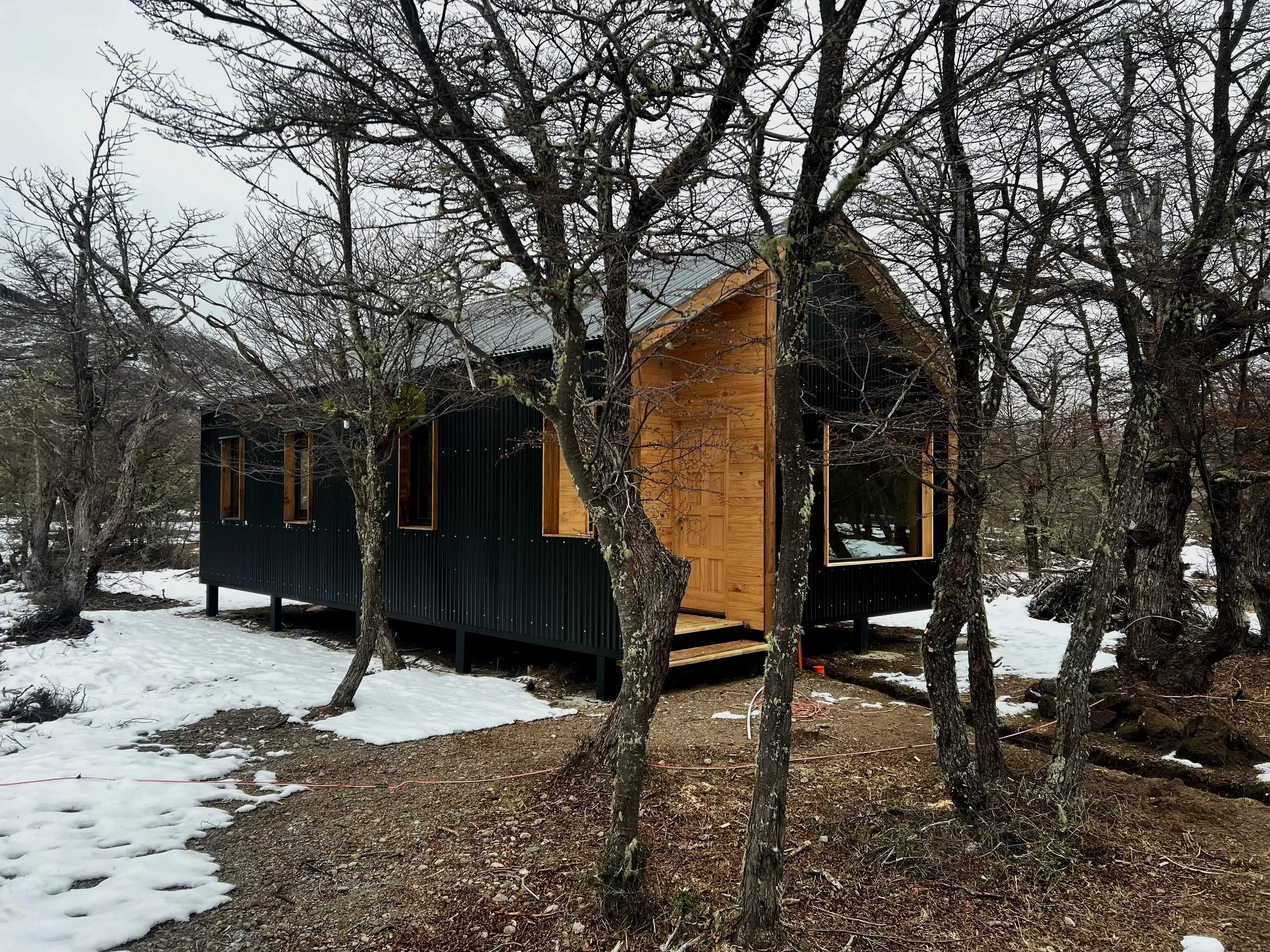 Casa moderna en un bosque con árboles desnudos y nieve en el suelo.