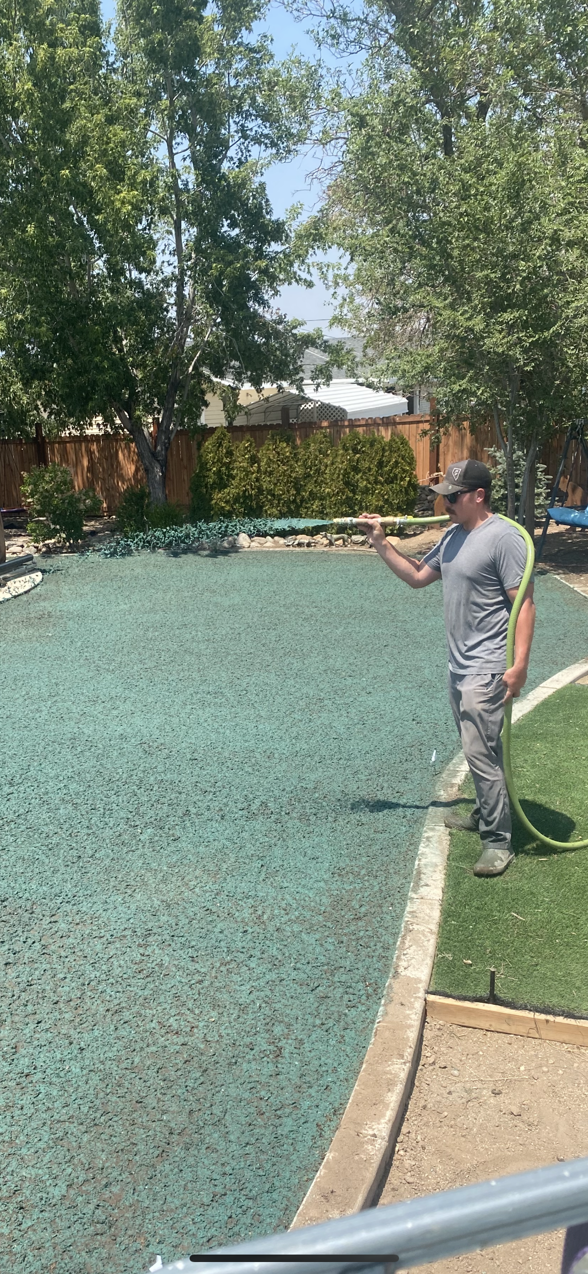 A person wearing a gray t-shirt, gray pants, sunglasses, and a baseball cap is using a spray wand connected to a green hose to spray the backyard ground surface, which appears to be coated with a greenish material, in a sunny backyard with trees and a wooden privacy fence.