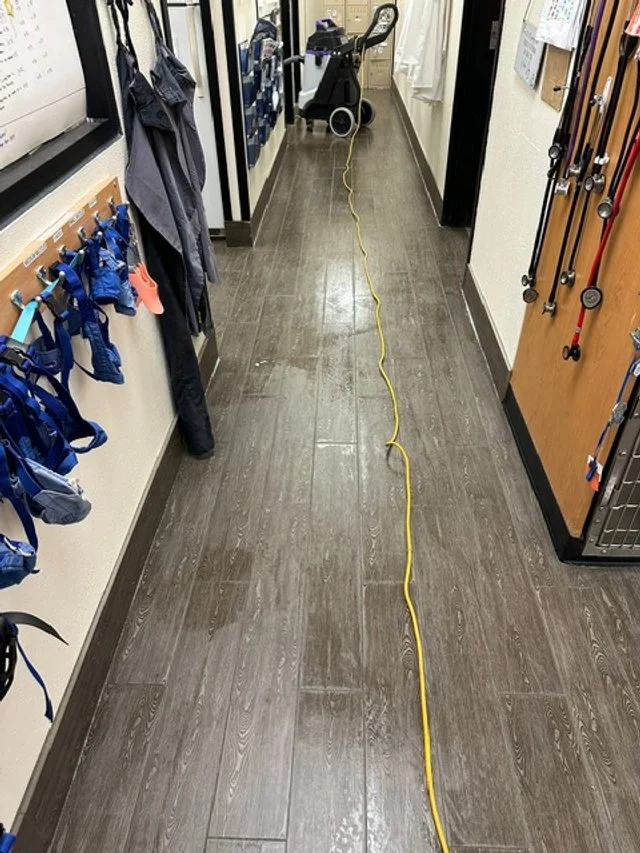 Long yellow extension cord running through the hallway of a gym or fitness center, with exercise equipment and lockers on either side.
