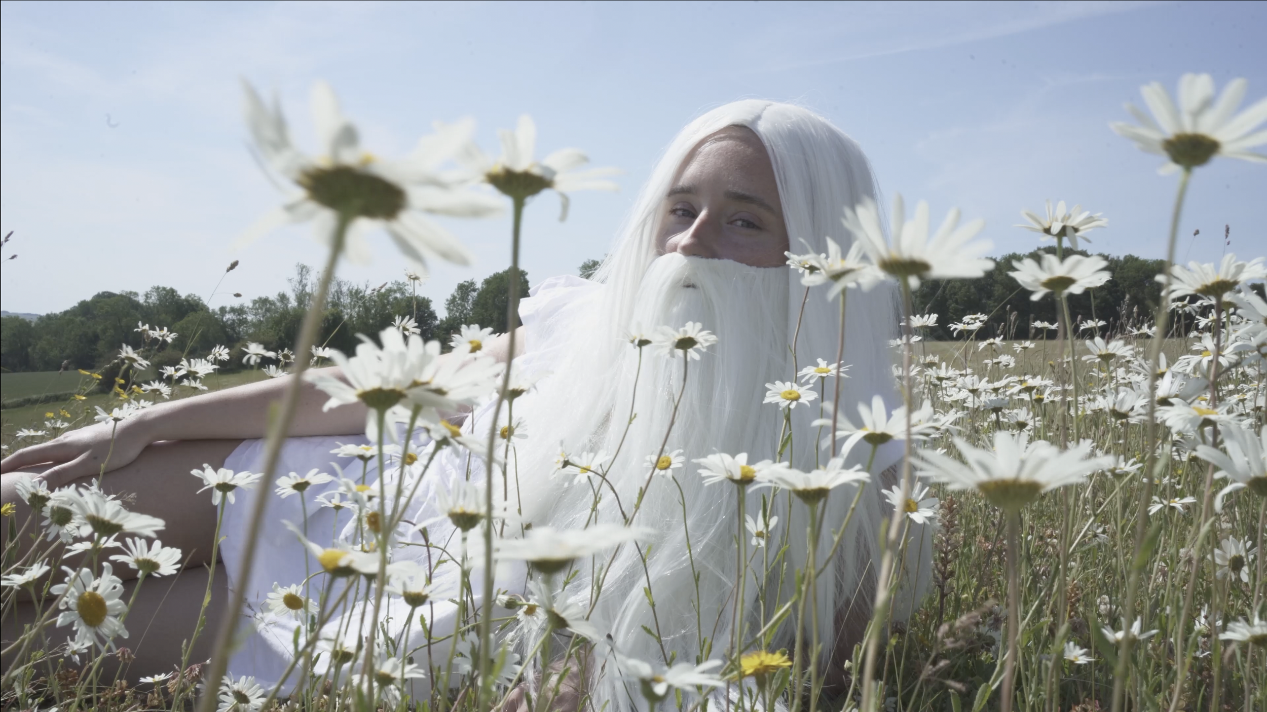 Person with long white hair and beard lying in a field of daisies on a sunny day