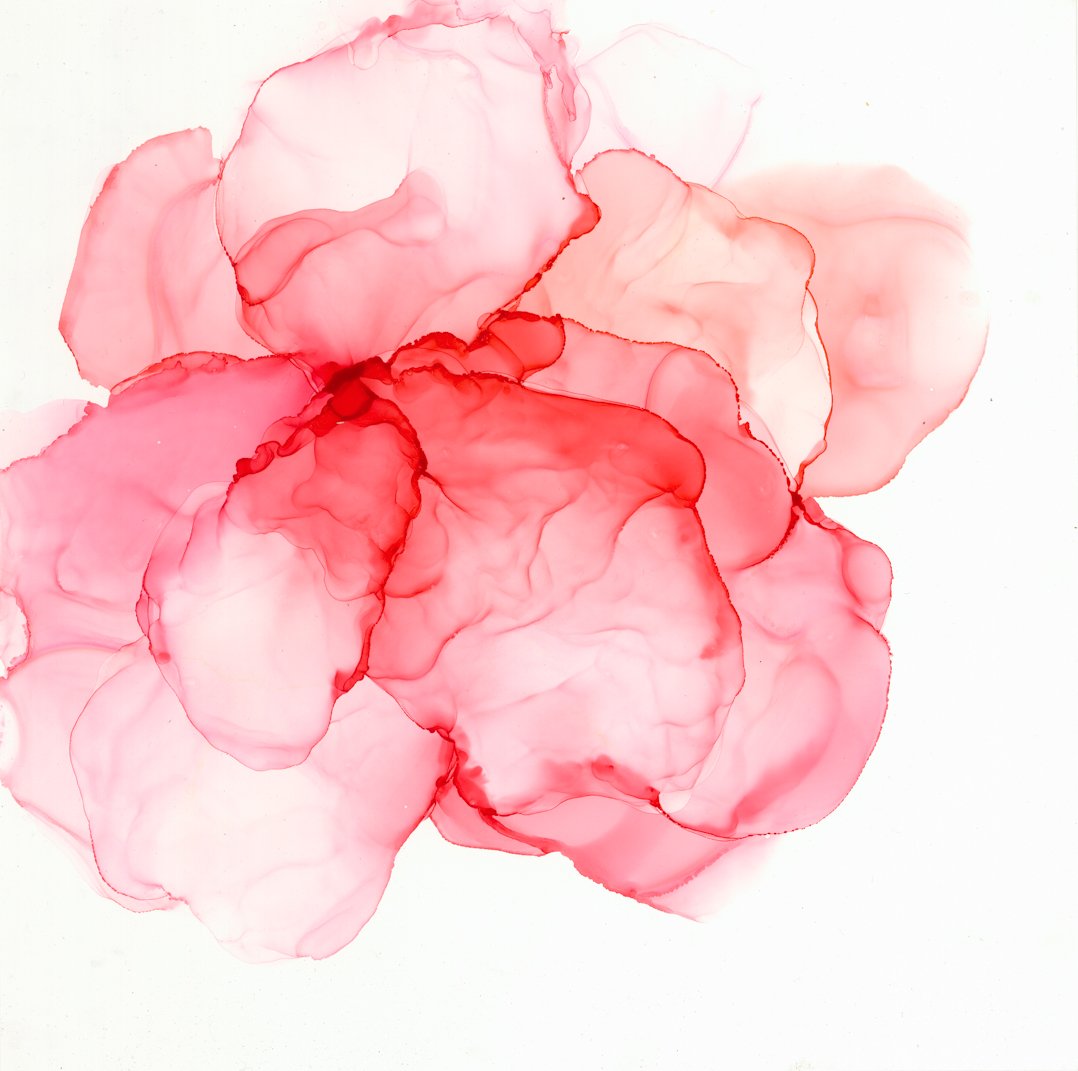 Rose Bloom adj (1).jpg