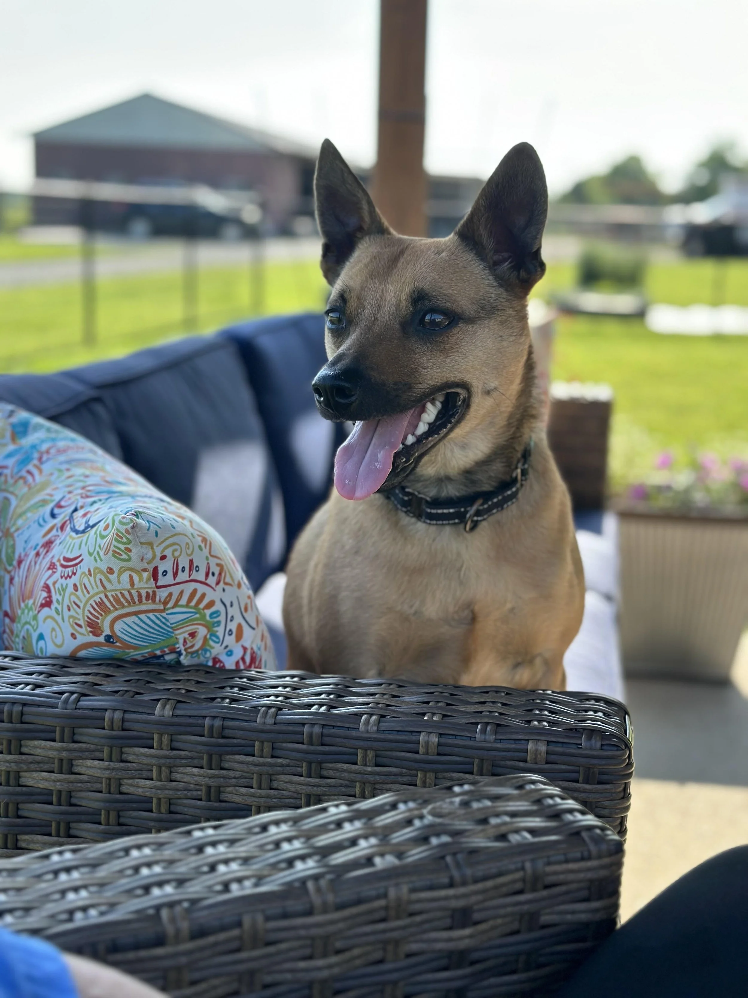 8fd001b4-e731-441d-b30f-36982ef38ce2.jpg