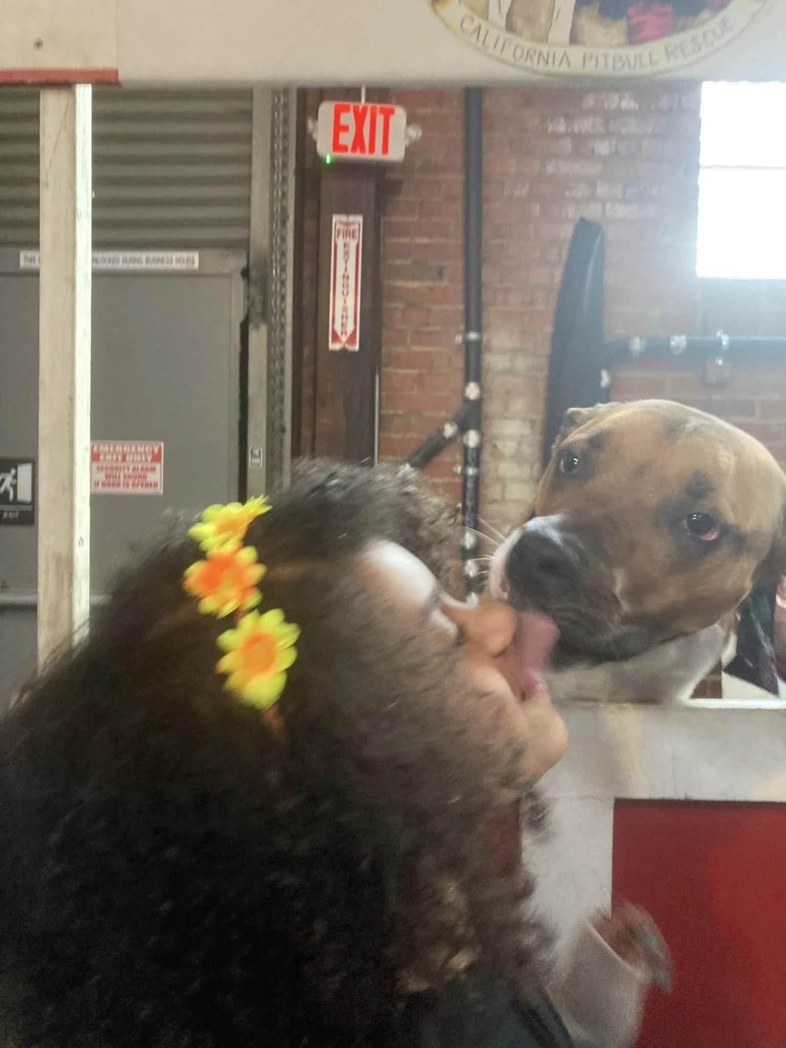 Frankie and Arcee.jpeg