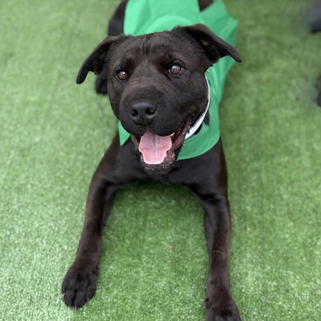944d2bdb49502f154afb42edcdf7b785.jpeg