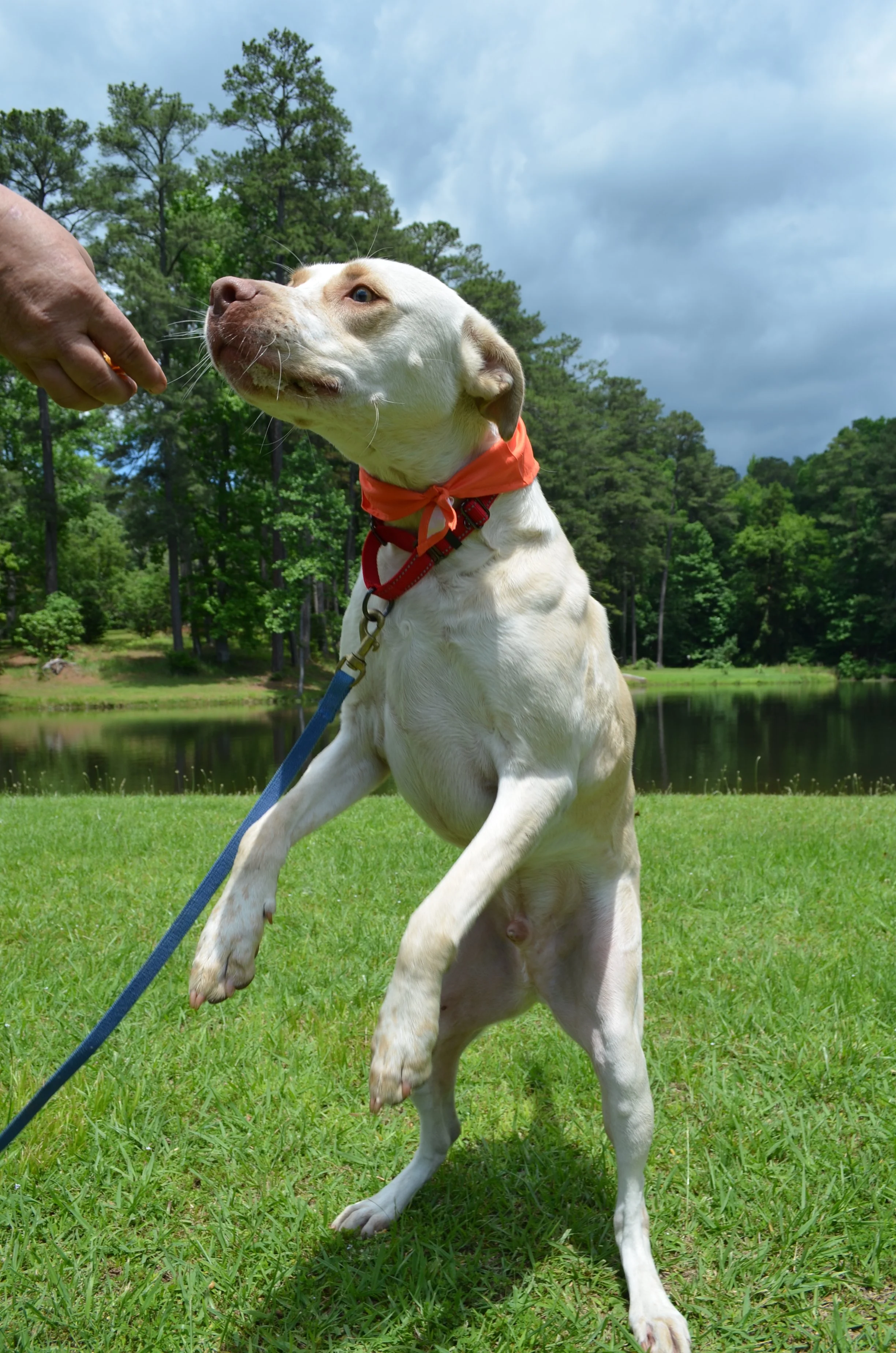 image (1) (1).jpeg
