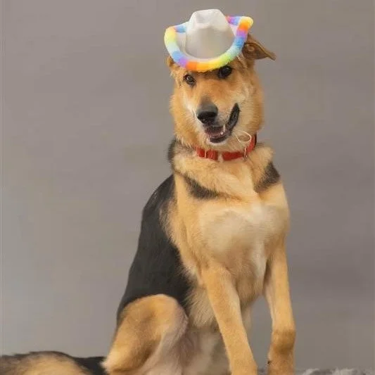 image.jpeg