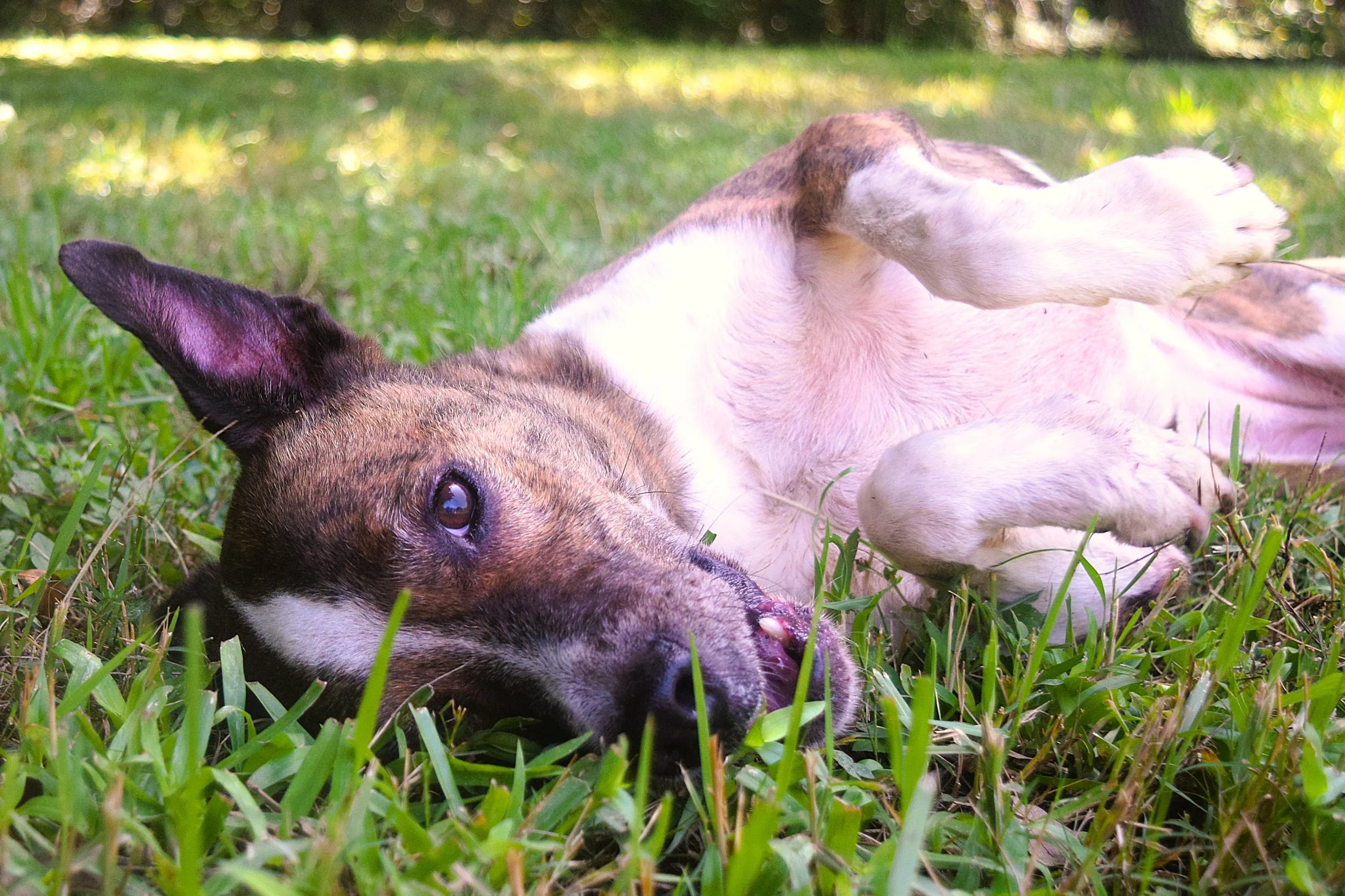DSC_0091.jpg