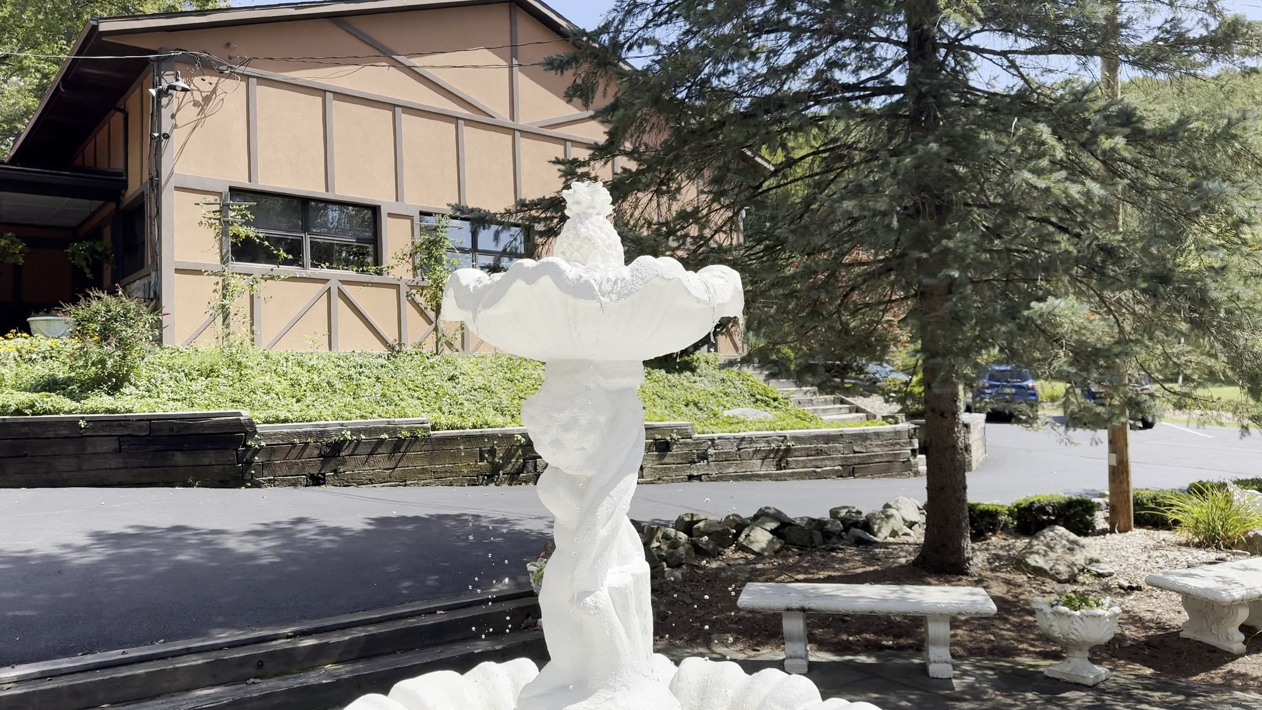 12.jpeg