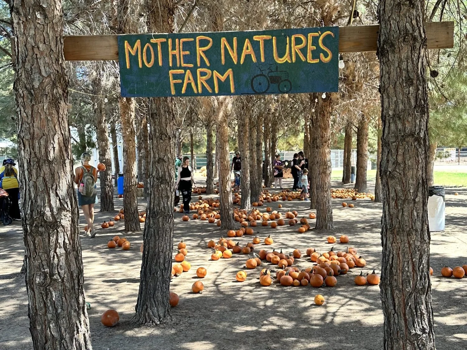Fall Festival