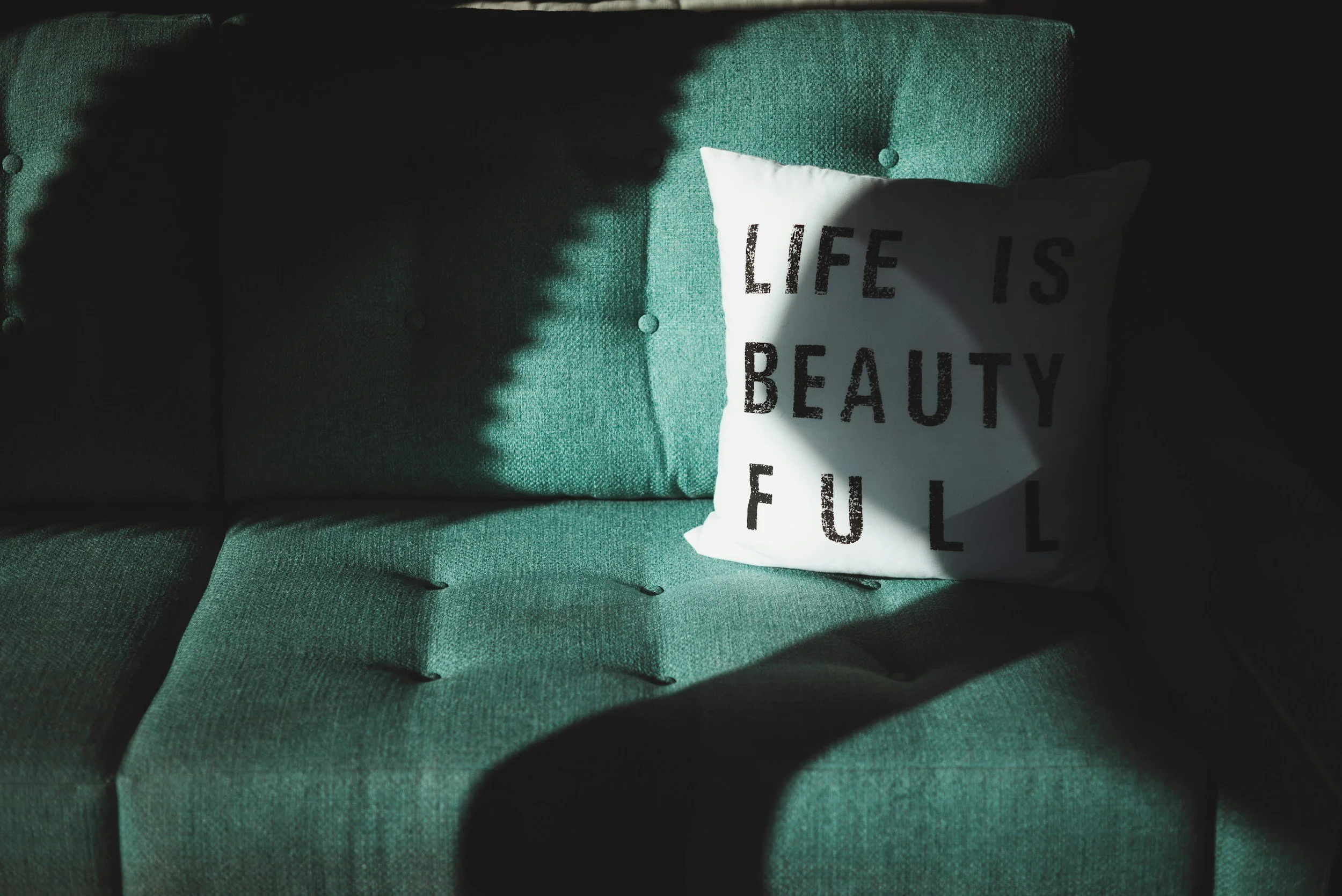 Episode 06 : A Life of Beauty