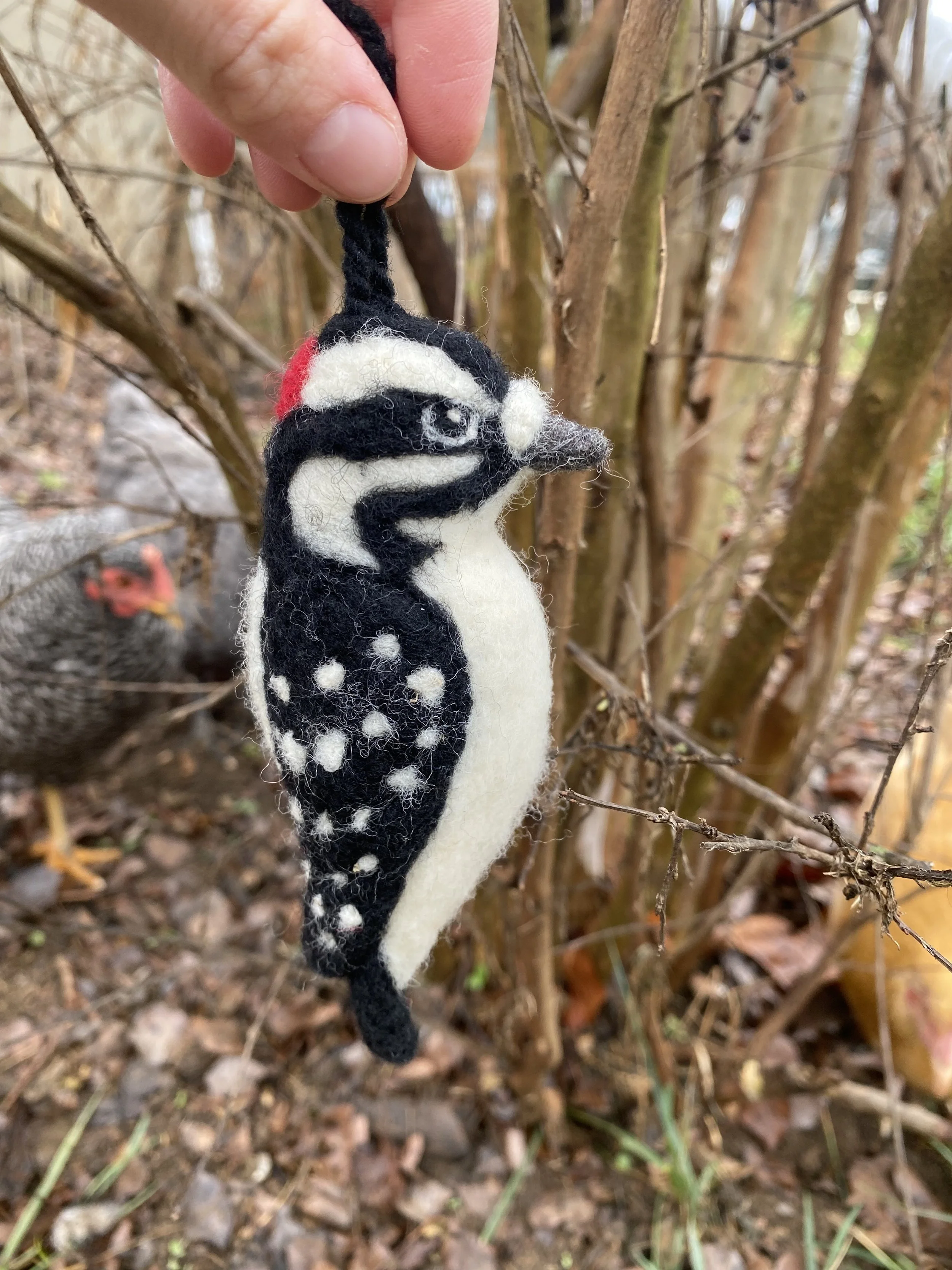 Downy woodpecker ornament