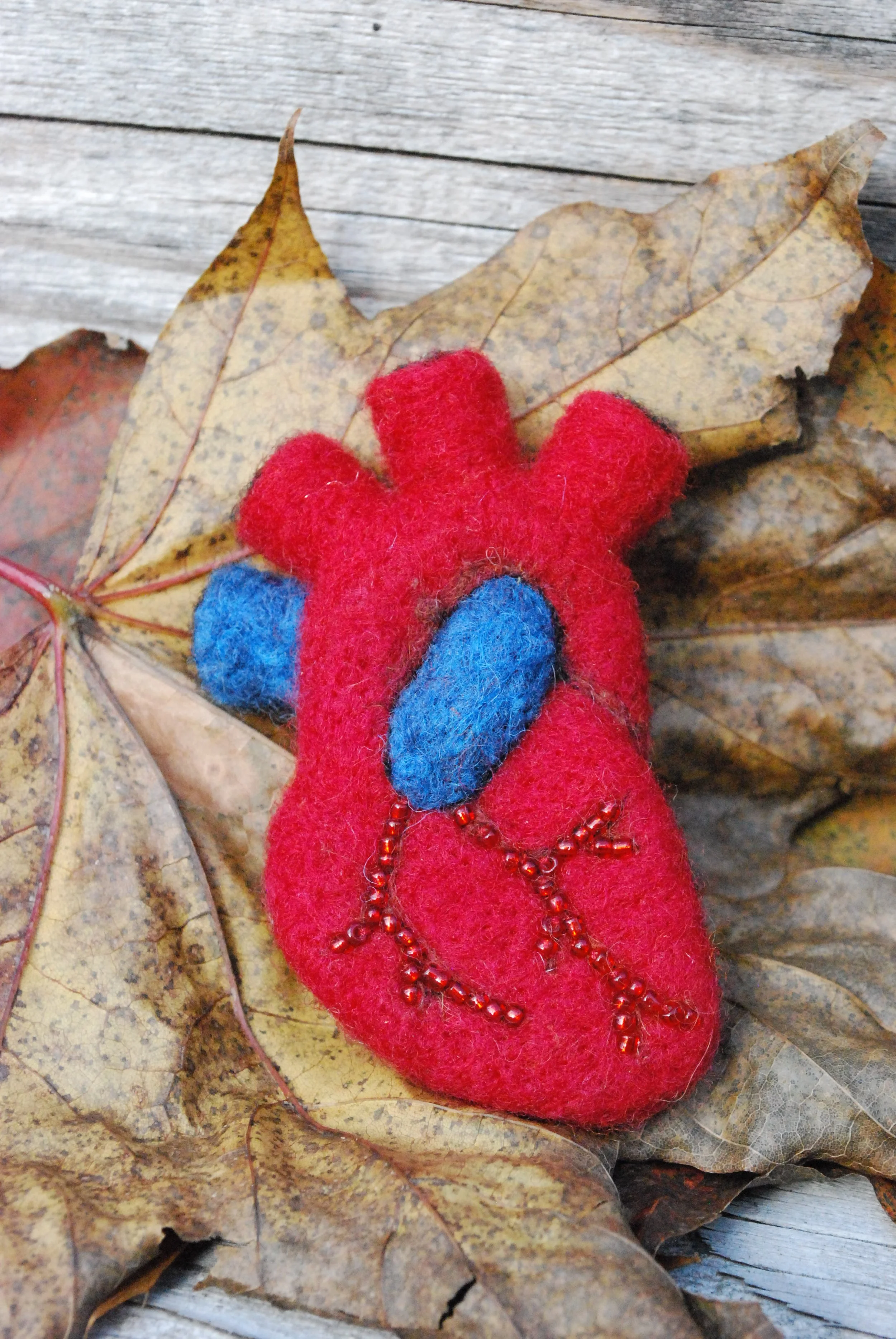 Anatomical heart pin