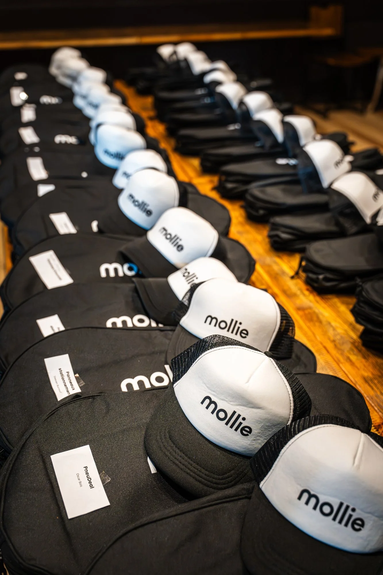 m3-mollie-004.jpg