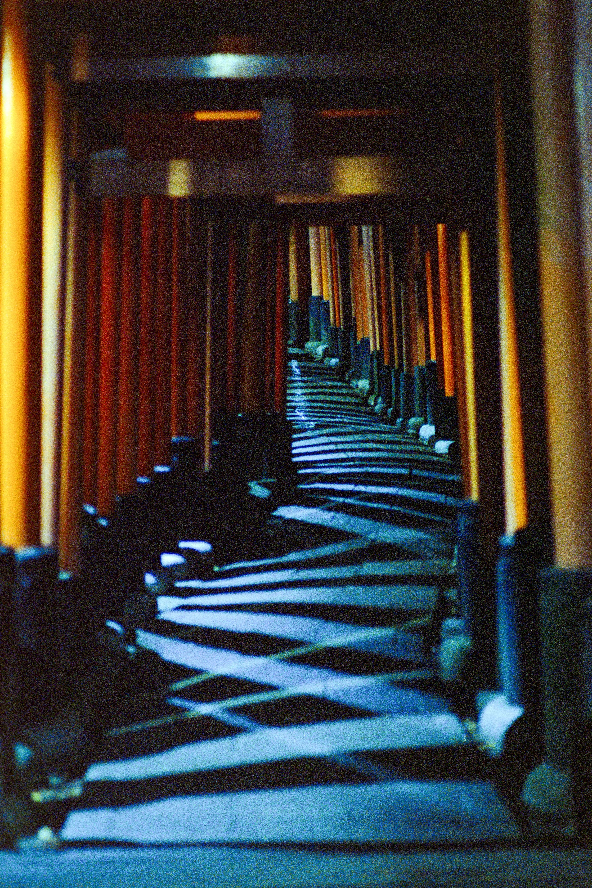 NikonFM3A_85-50mm_CineStill800T_Inari_2-24.jpg