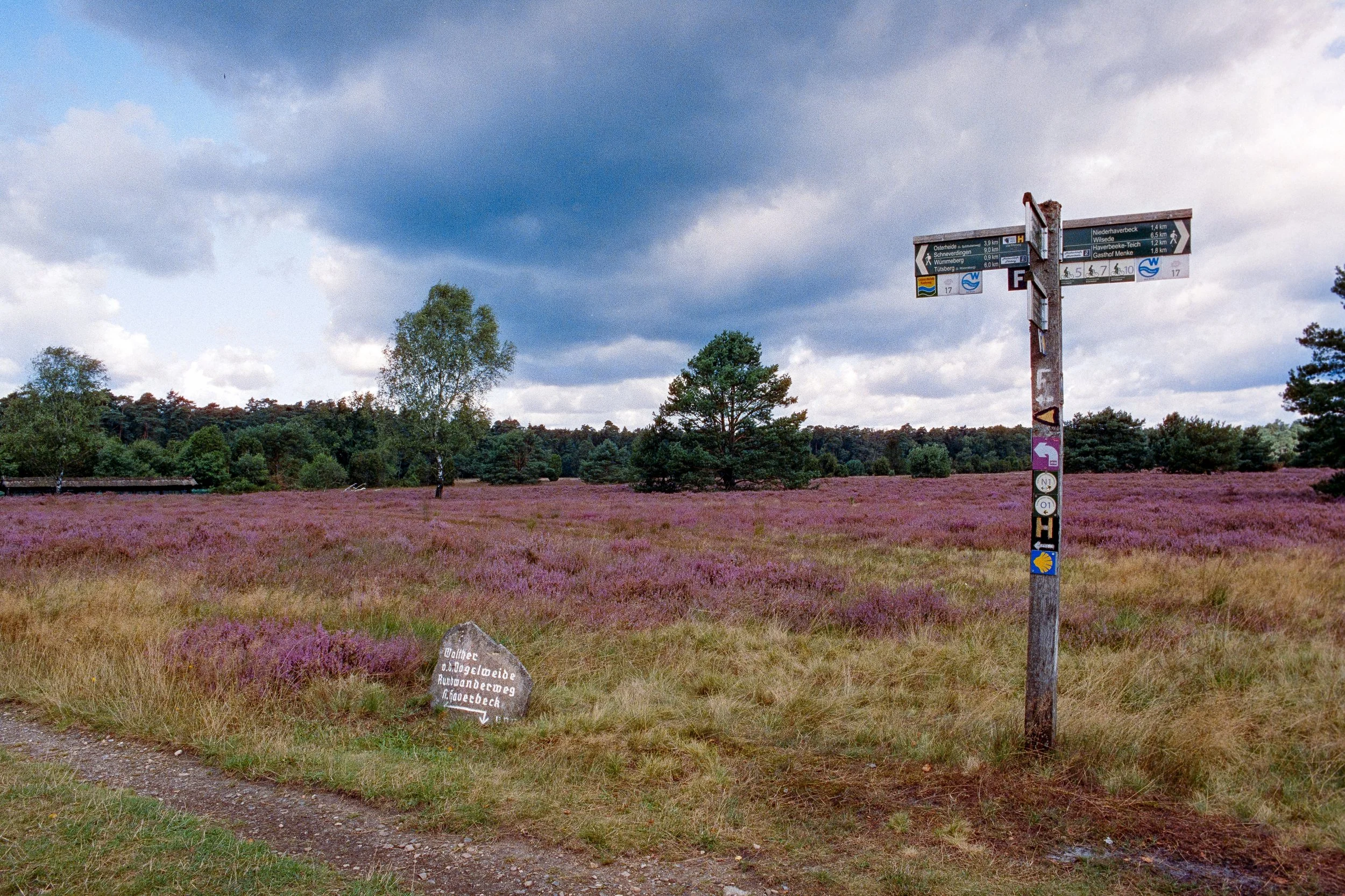 Ein Signpost mit verschiedenen Wanderwegen steht auf einer lila blühenden Heidefläche unter einem bewölkten Himmel.