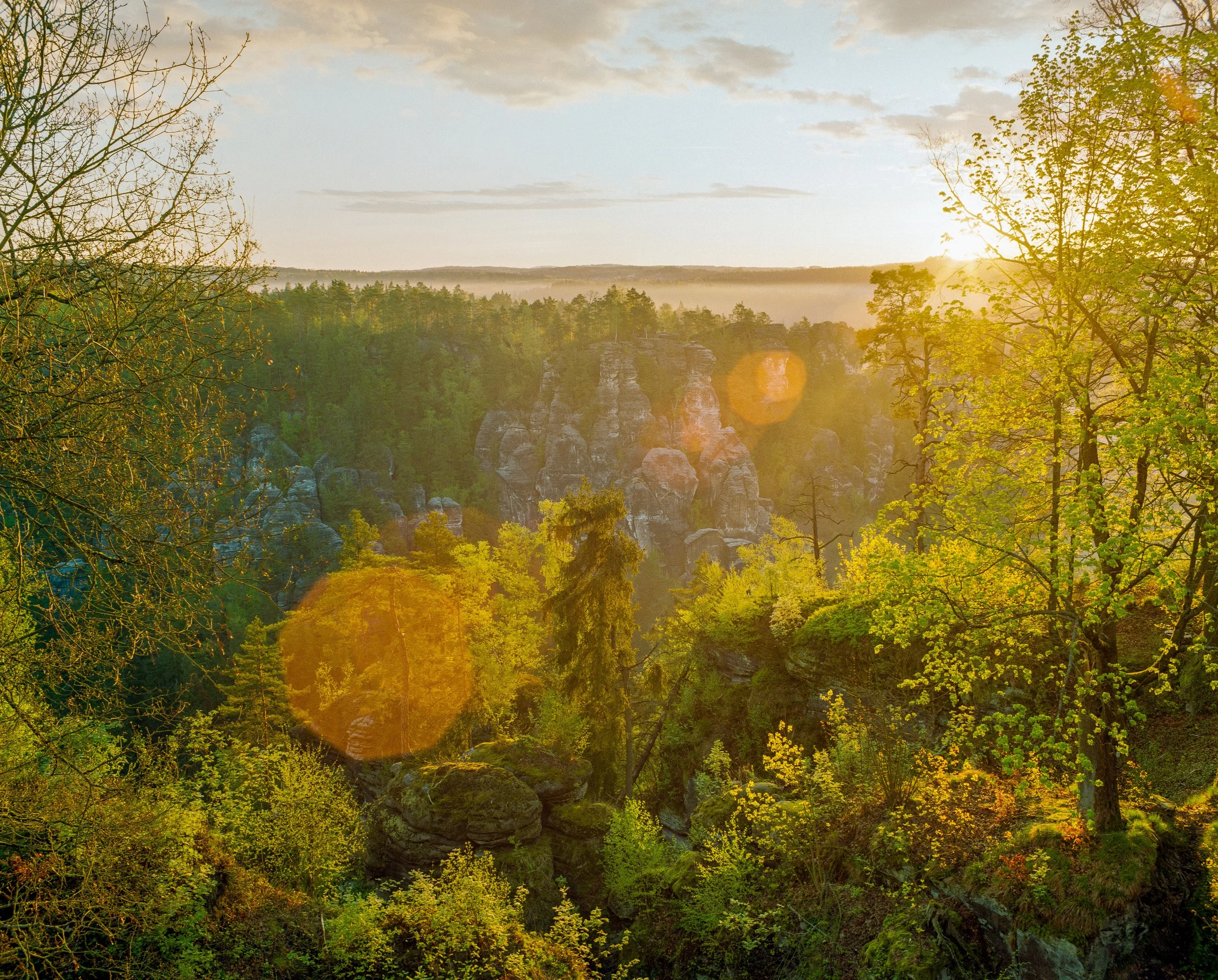 Blick auf einen Sonnenuntergang im Elbsandsteingebirge mit grünem Bewuchs, Felsen und Bäumen.
