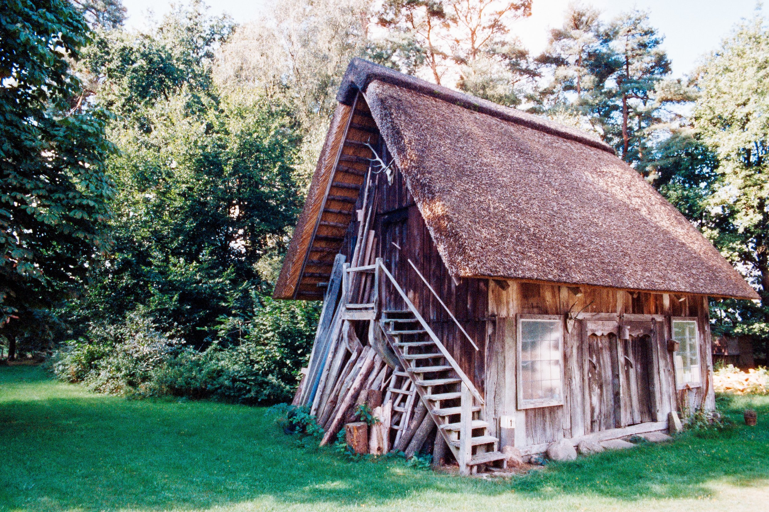 Altes, Holzhaus mit schrägem Reetdach im Grünen, umgeben von Bäumen.