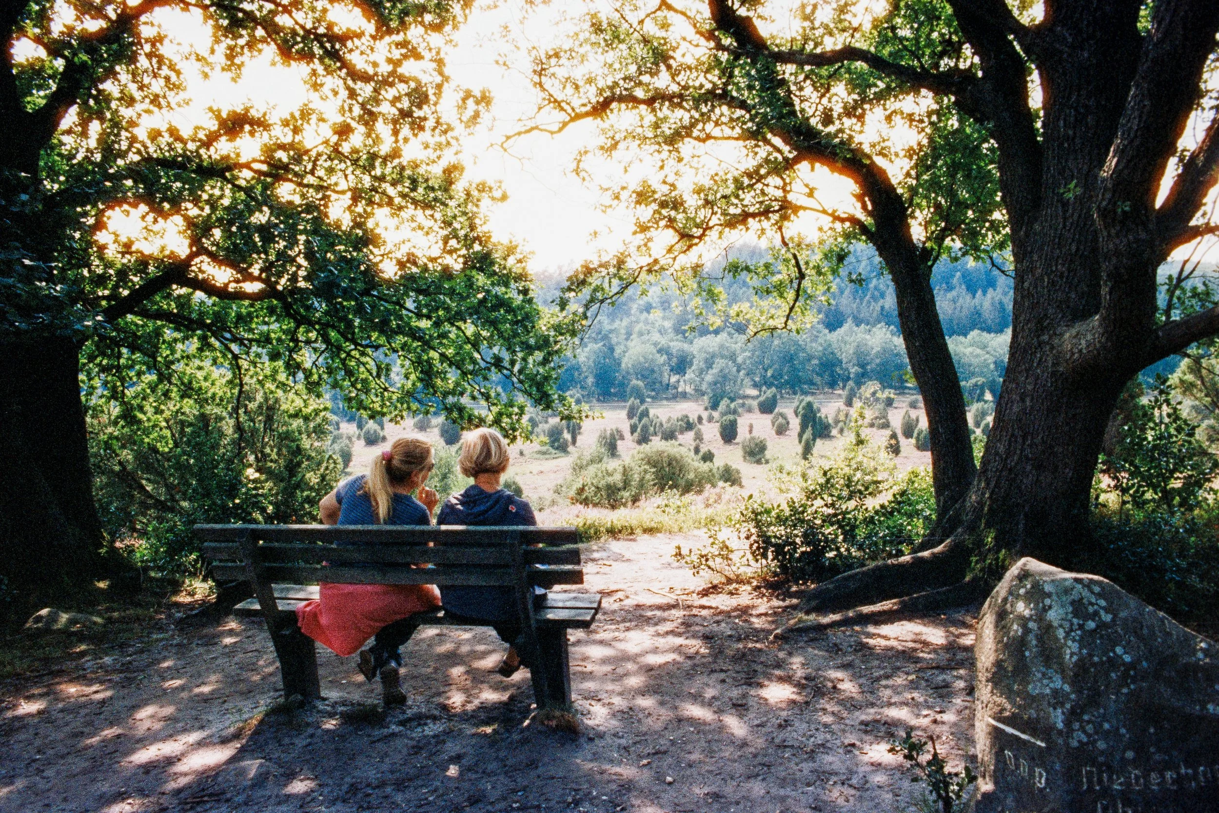 Zwei Kinder sitzen auf einer Bank unter Bäumen in der Natur und schauen auf eine sonnige Wiese mit Bäumen im Hintergrund.