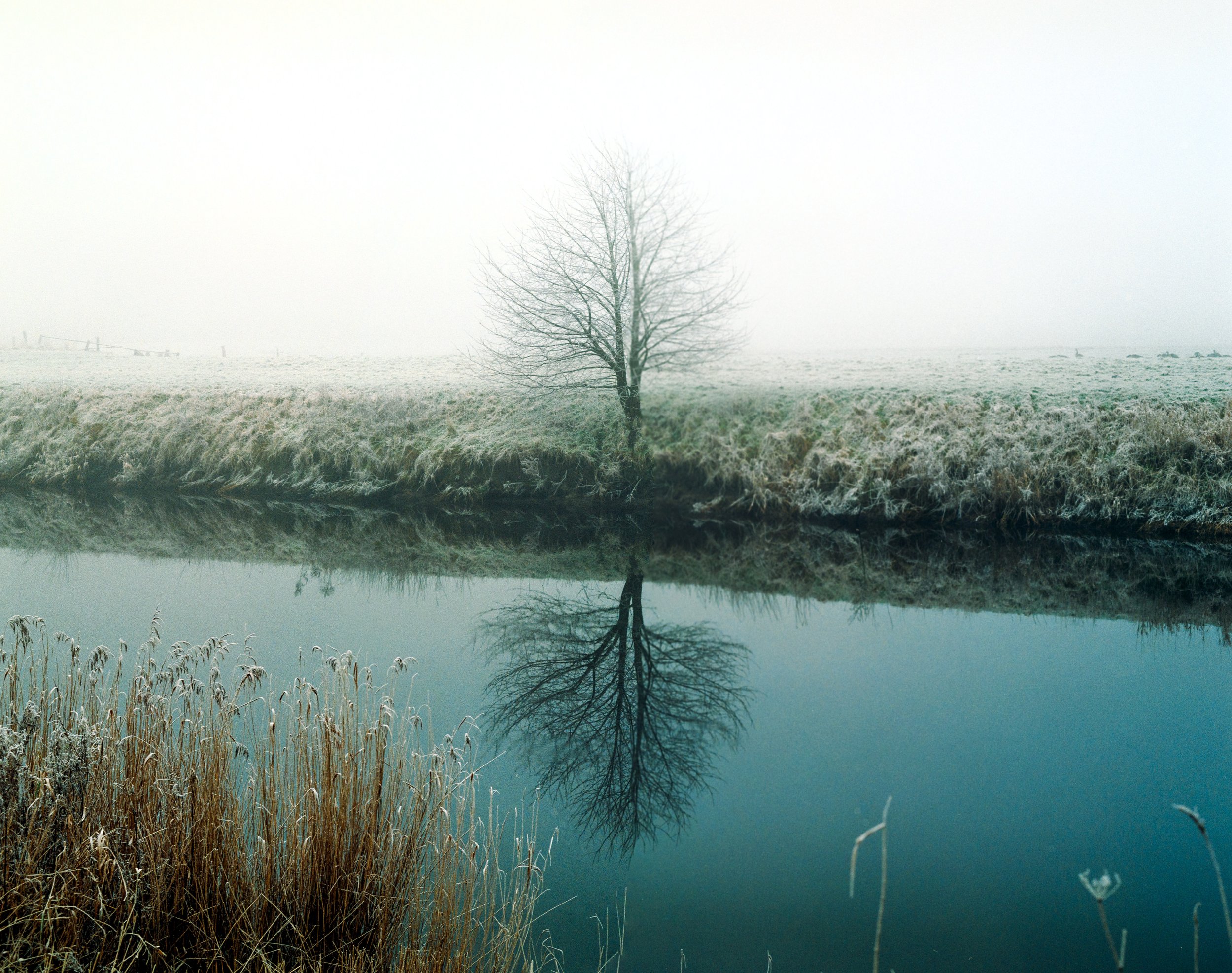 Ein Baum steht im Winterfeld neben einem ruhigen Fluss, dessen spiegelbildlich die Waldkante und der Baum sichtbar sind.