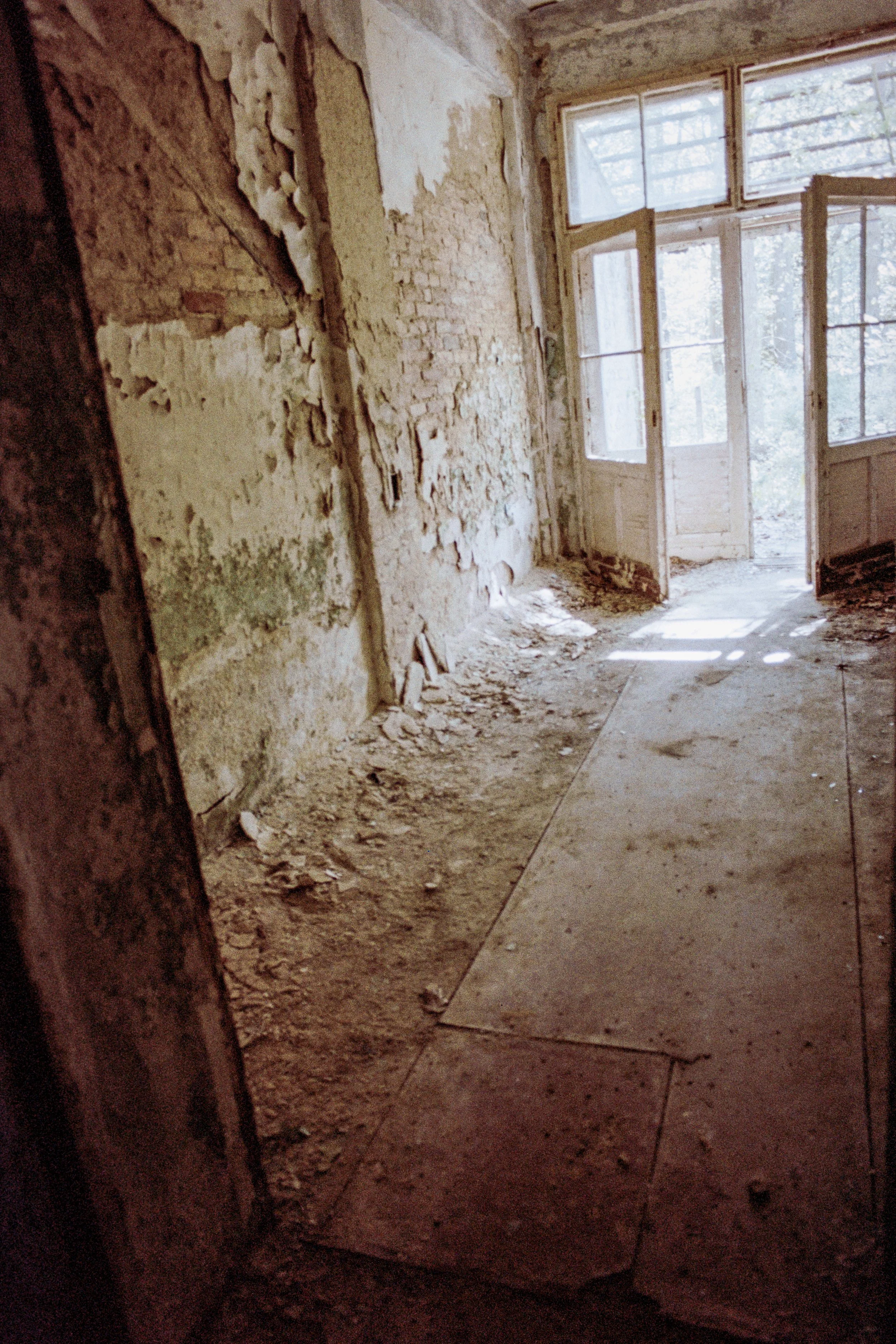 Raue, verfallene Raum mit aufgerissenem Boden und aufgemalten Wänden, durch offene Fenster Blick ins Freie mit Bäumen.