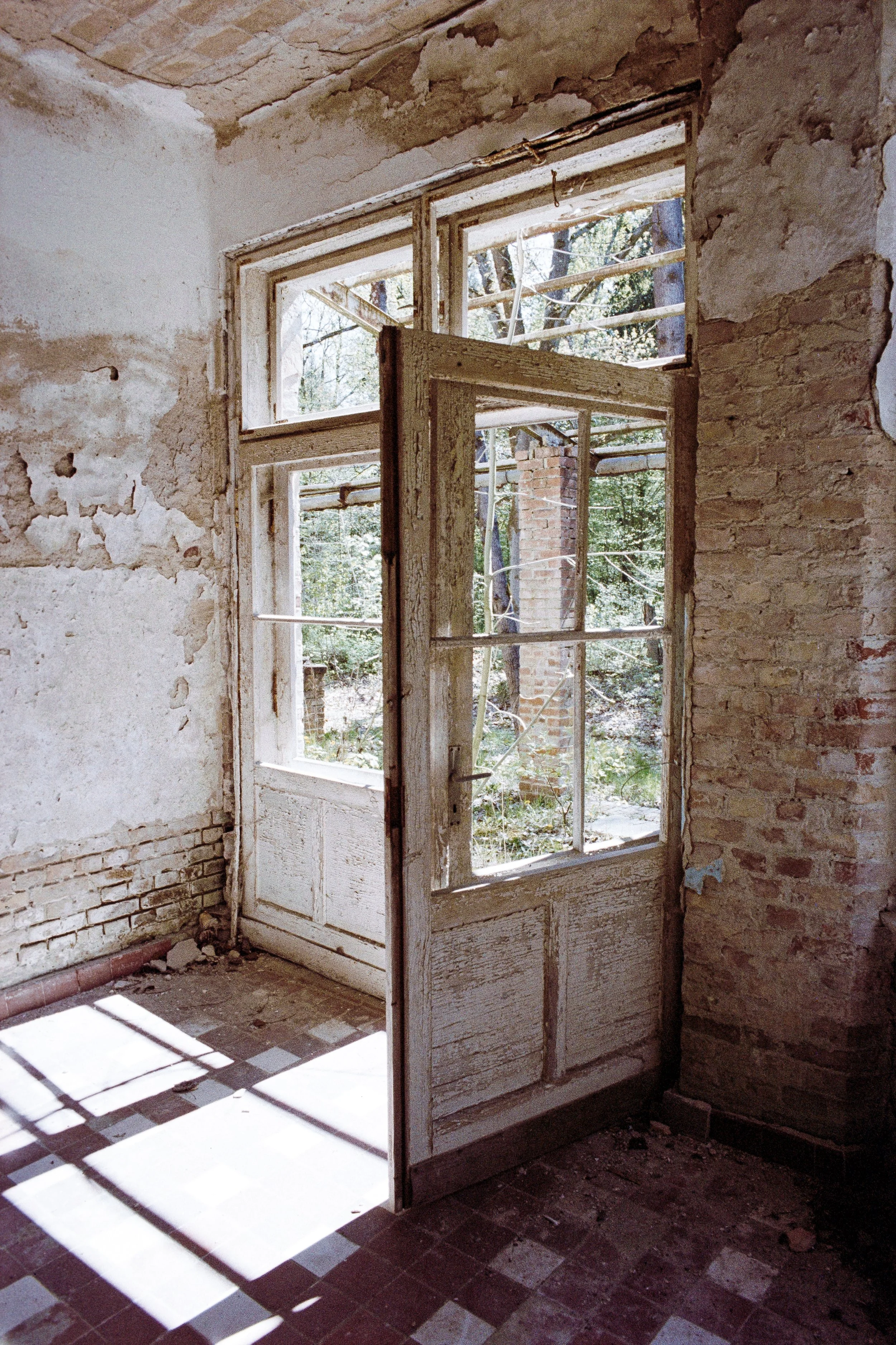 Eine alte, offene Tür mit einem großen Fenster im Rahmen, führt nach draußen in einen Garten mit Bäumen, die Schatten auf den Boden werfen. Die Wände und der Boden sind abgenutzt und verfallen.