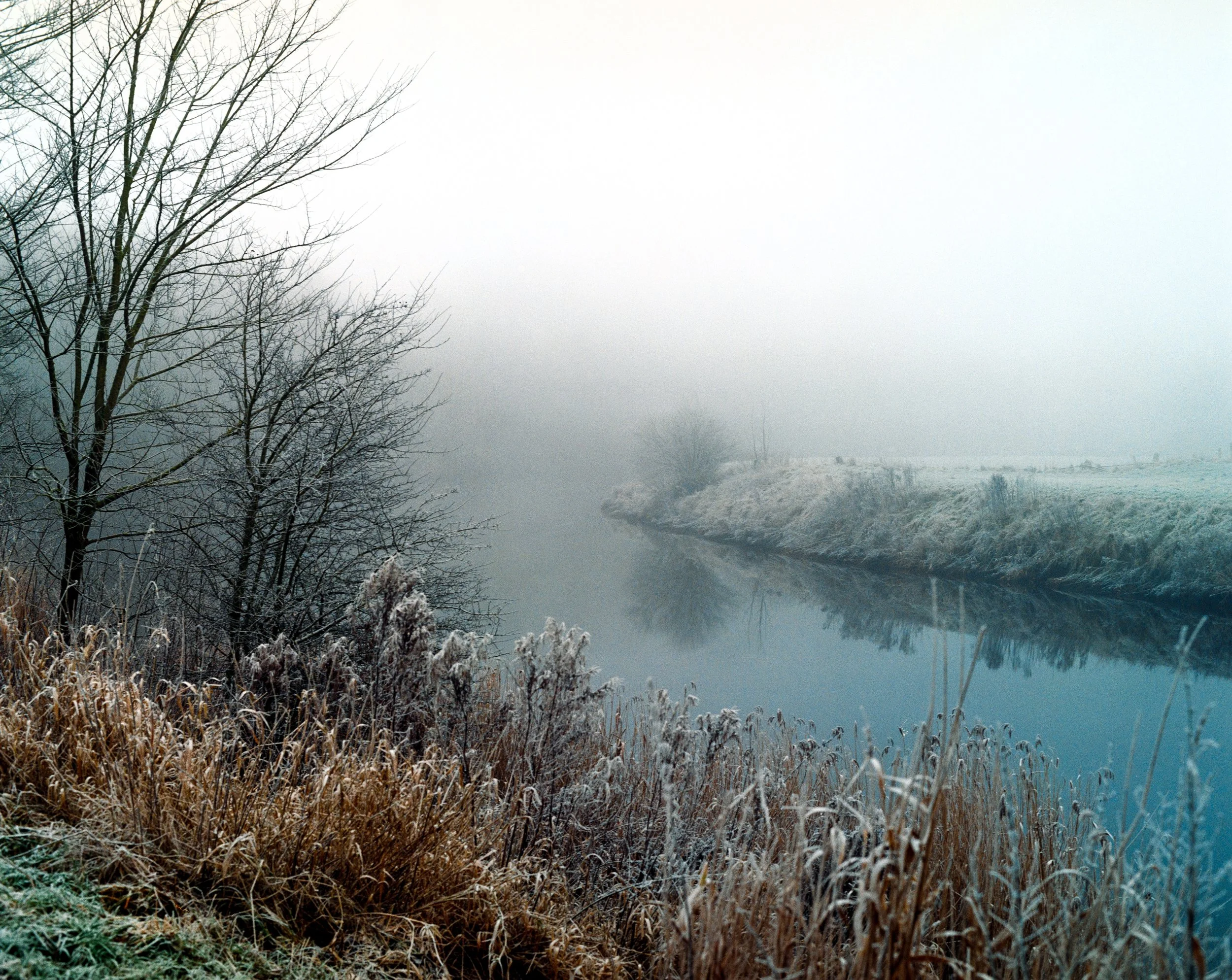 Nebeliger Fluss im Winter mit kahlen Bäumen und gefrostetem Gras am Ufer.