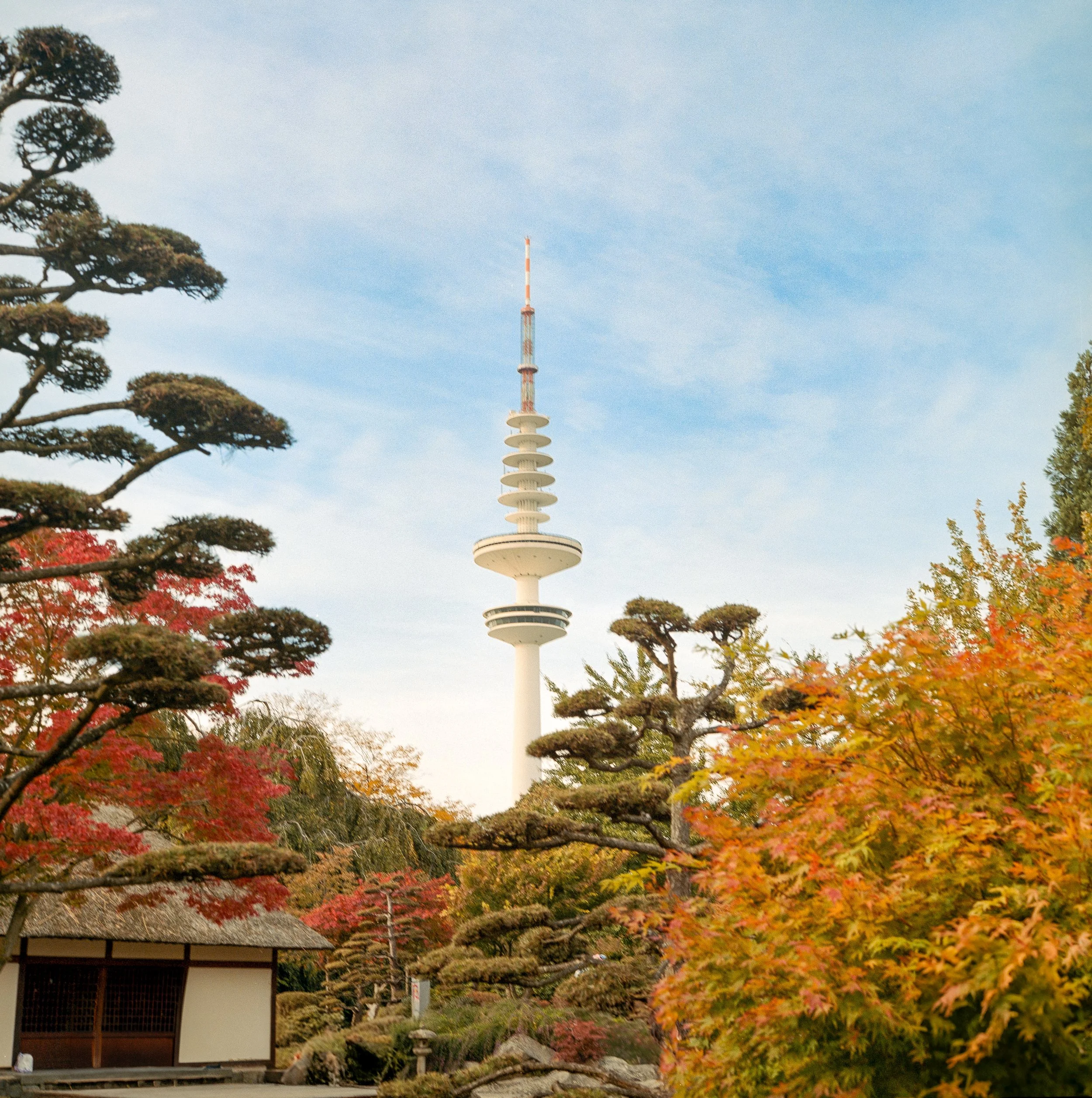 Der Jasnen-Turm (Sky Tower) in Oslo, umgeben von herbstlichen Bäumen, mit bewölktem Himmel im Hintergrund.