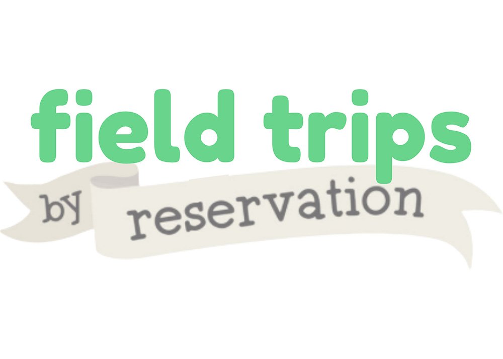 Book Your Field Trip to Play Street Museum Plano!